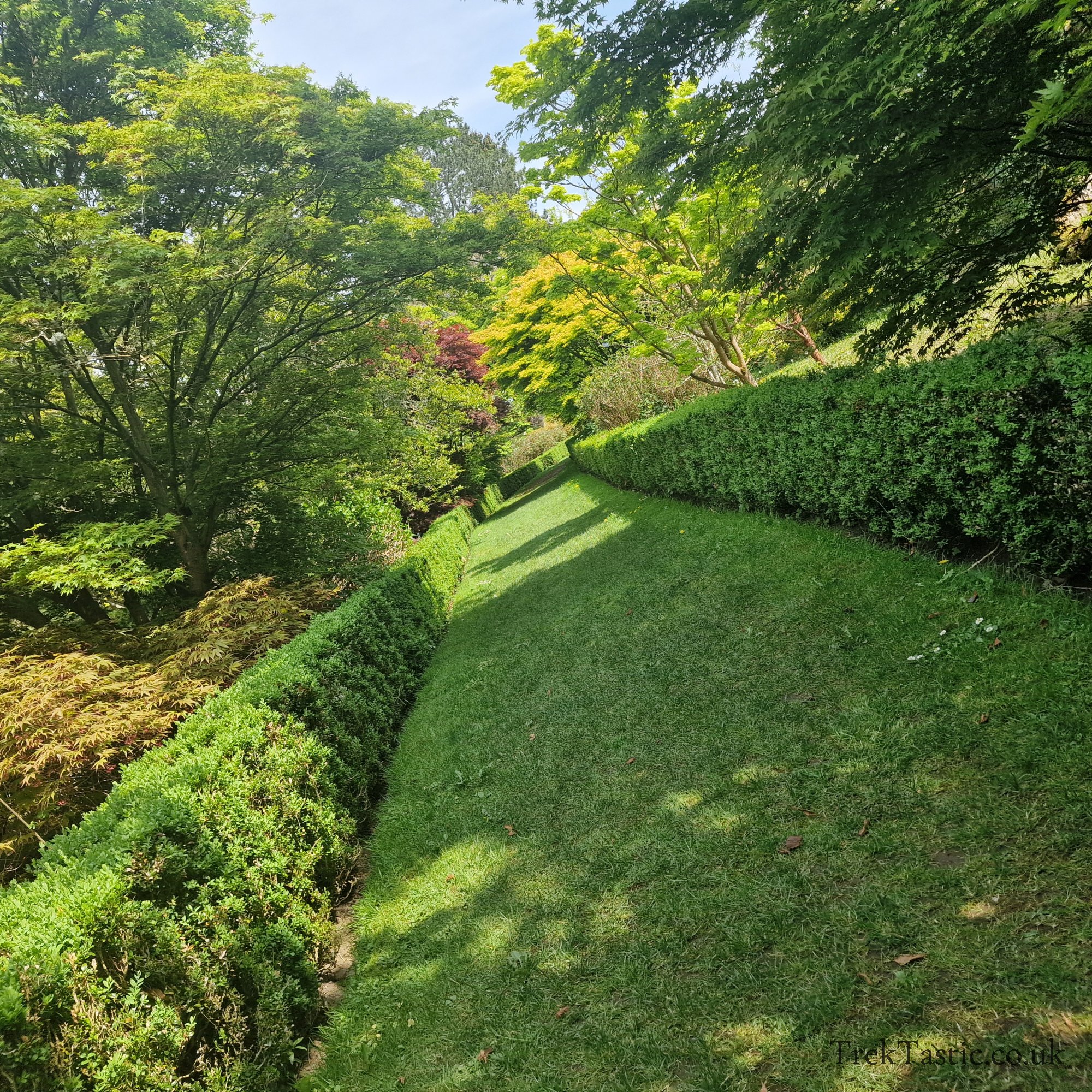 Arley Arboretum gallery image 2