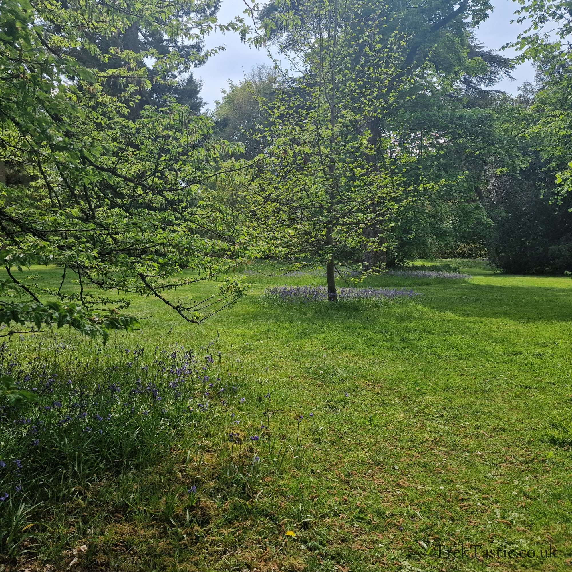 Arley Arboretum gallery image 6
