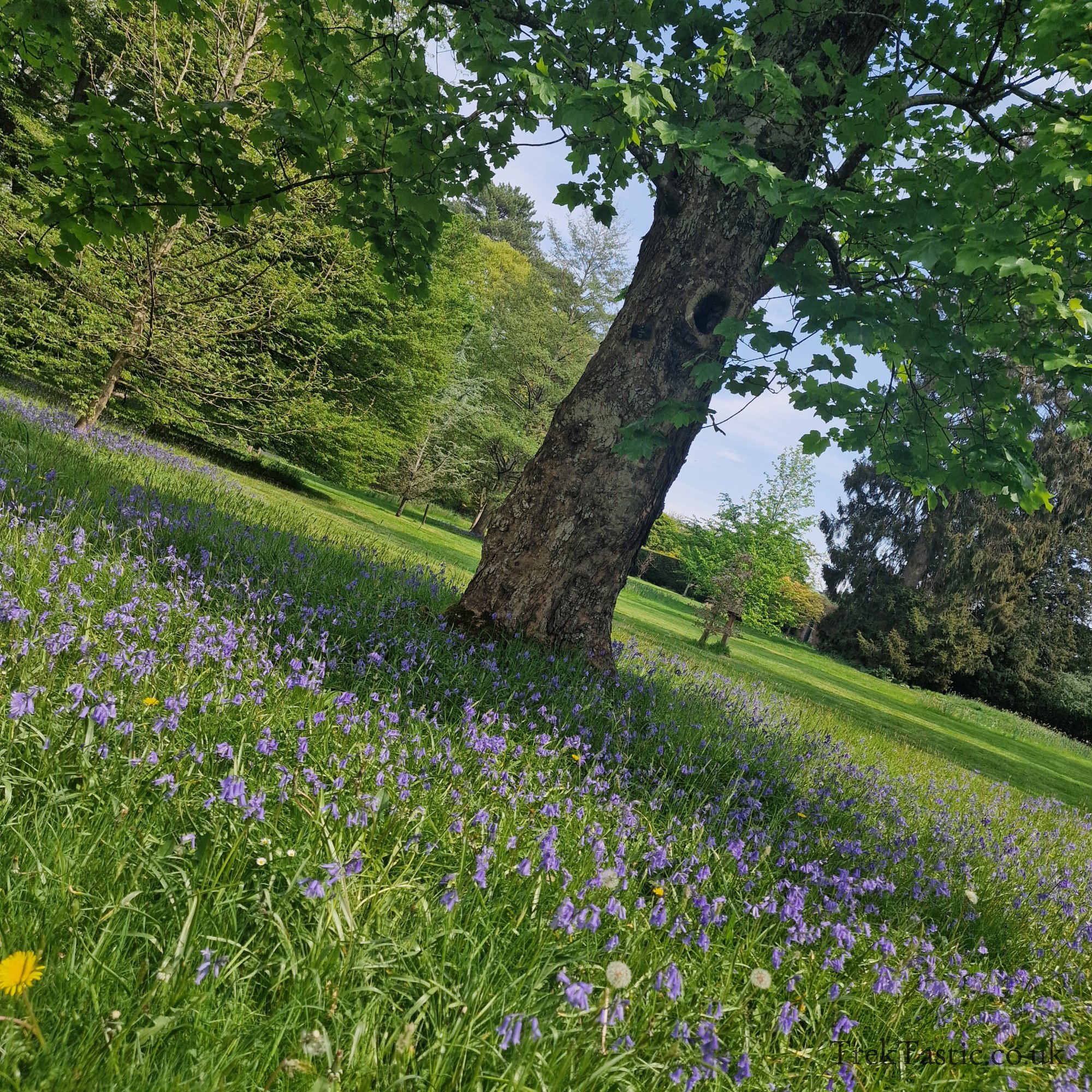 Arley Arboretum gallery image 7