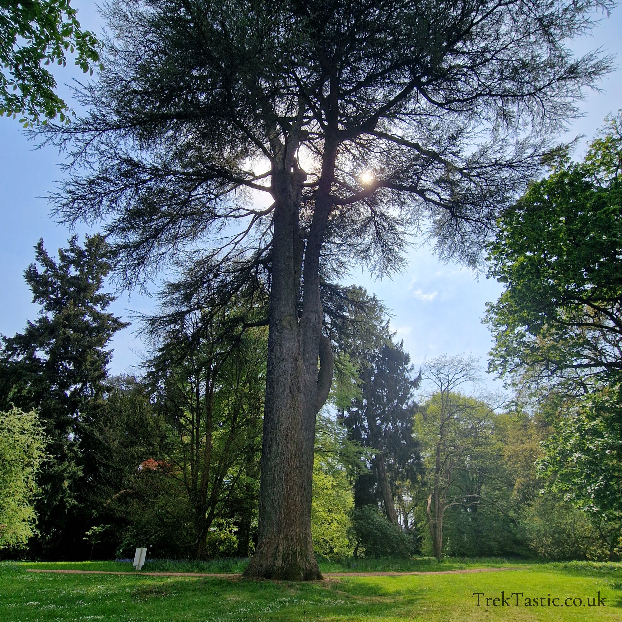Arley Arboretum gallery image 8