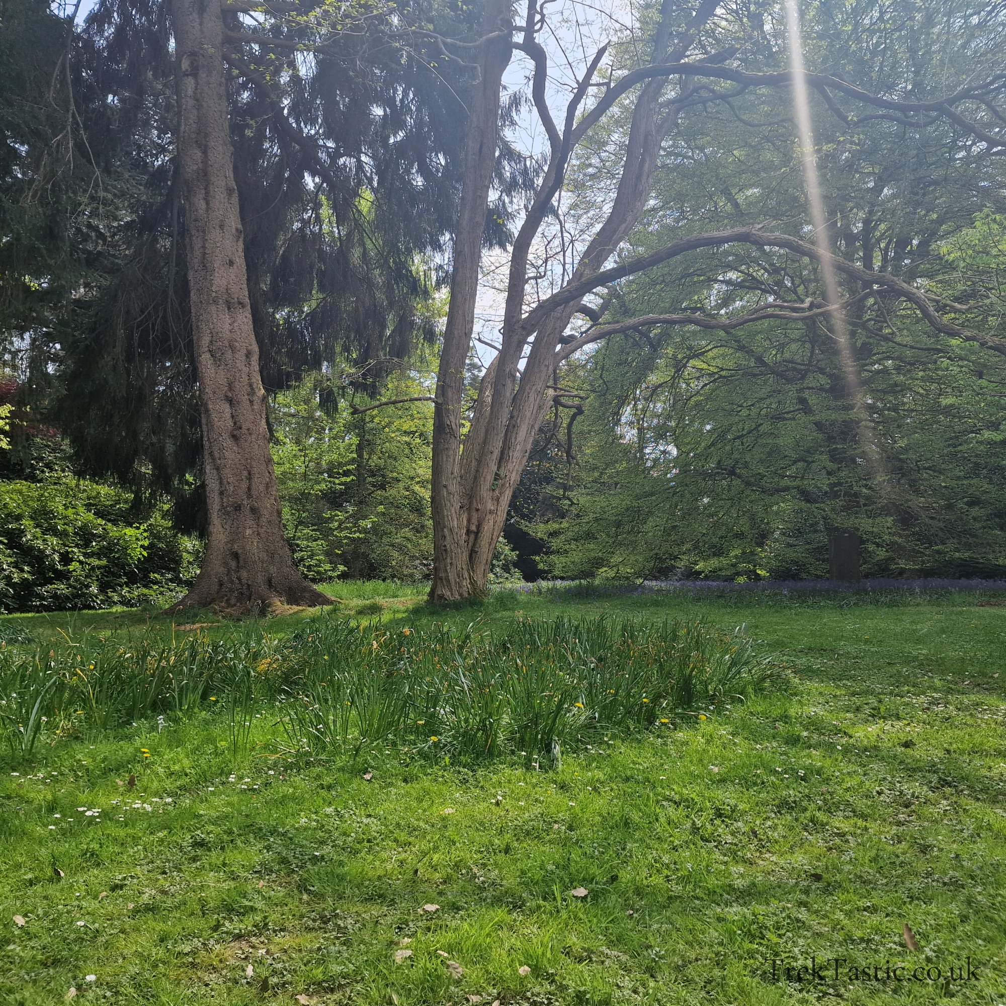 Arley Arboretum gallery image 9
