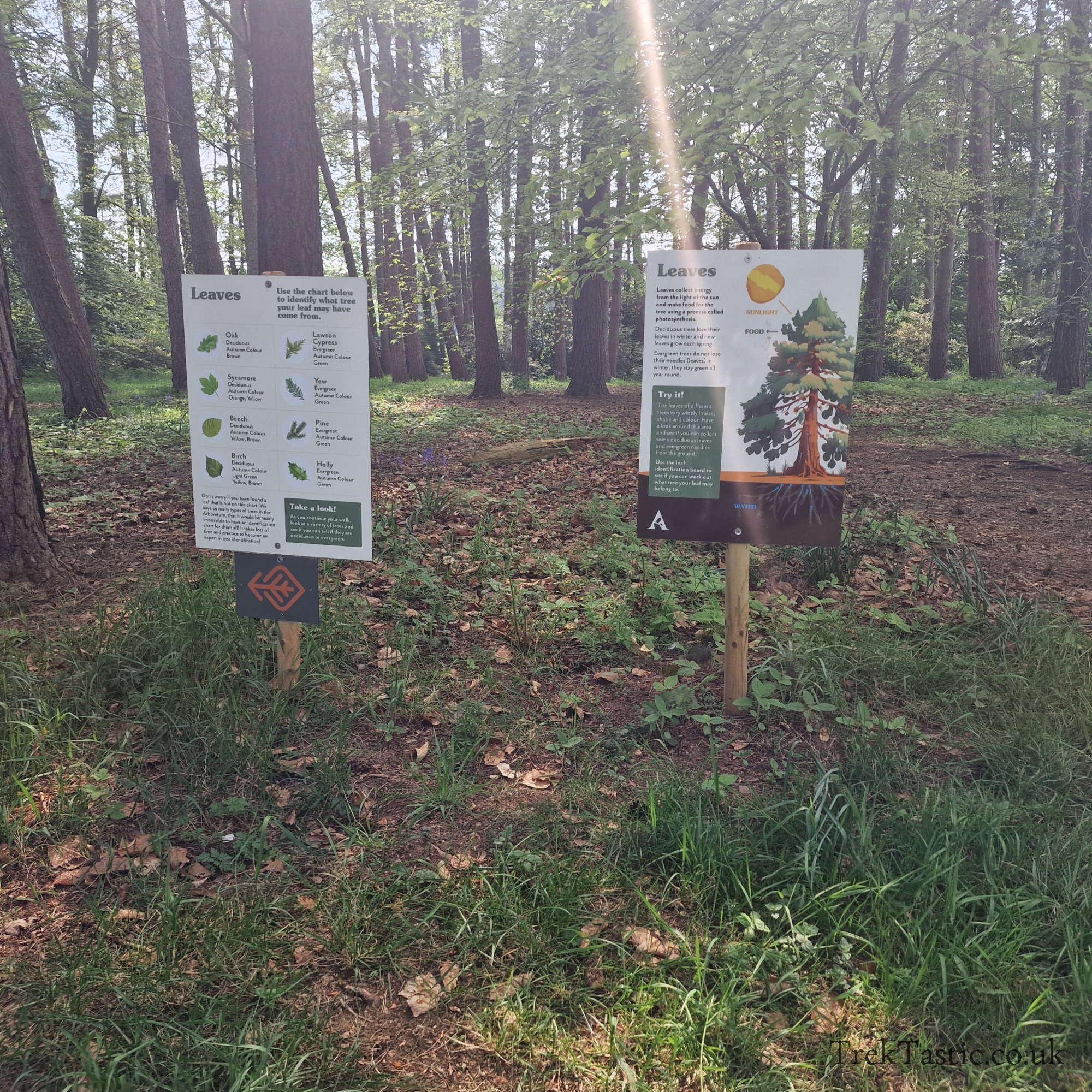 Arley Arboretum gallery image 10