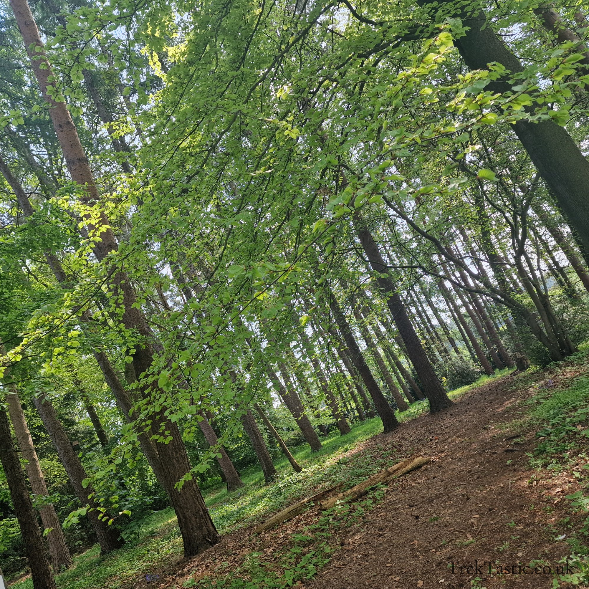 Arley Arboretum gallery image 11