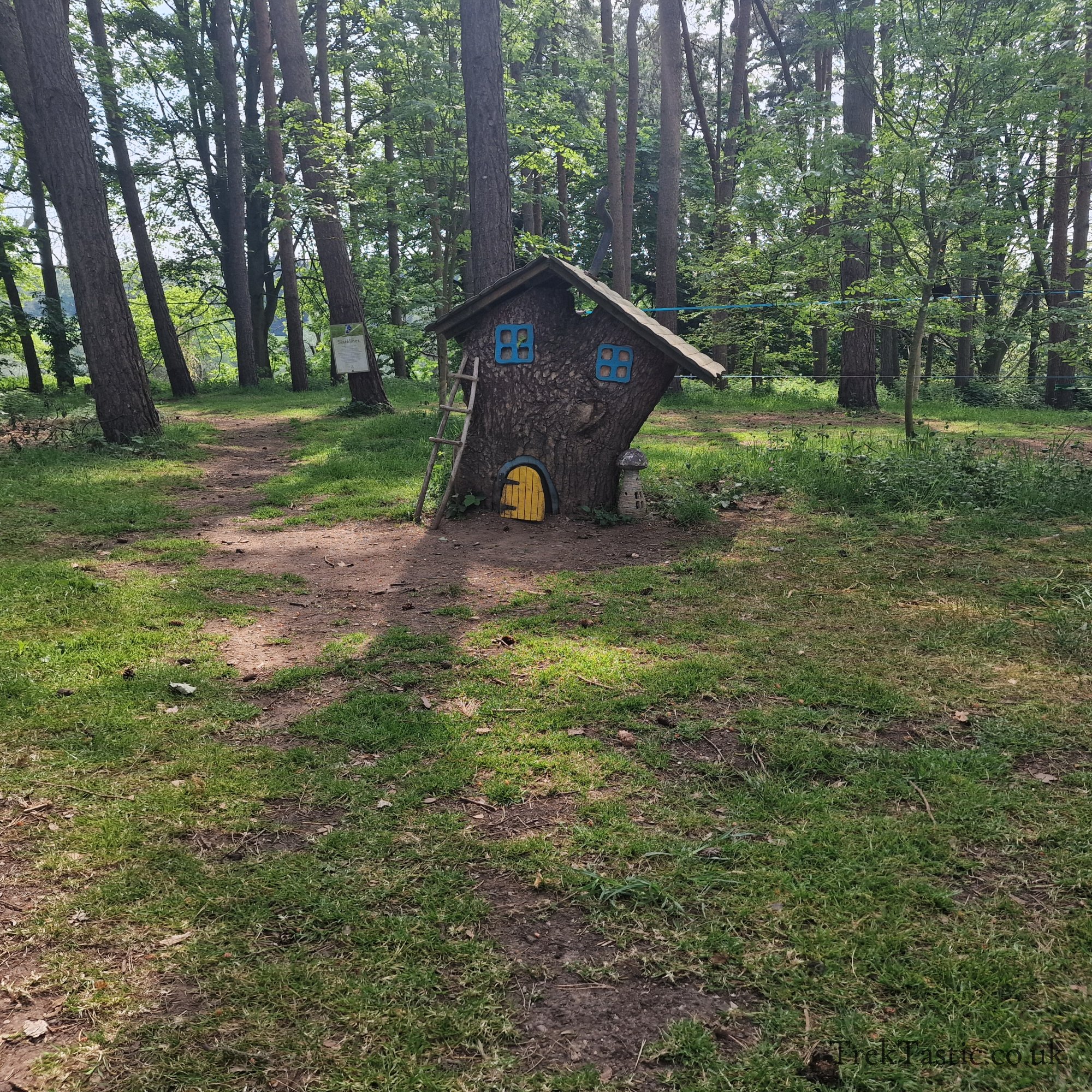Arley Arboretum gallery image 12