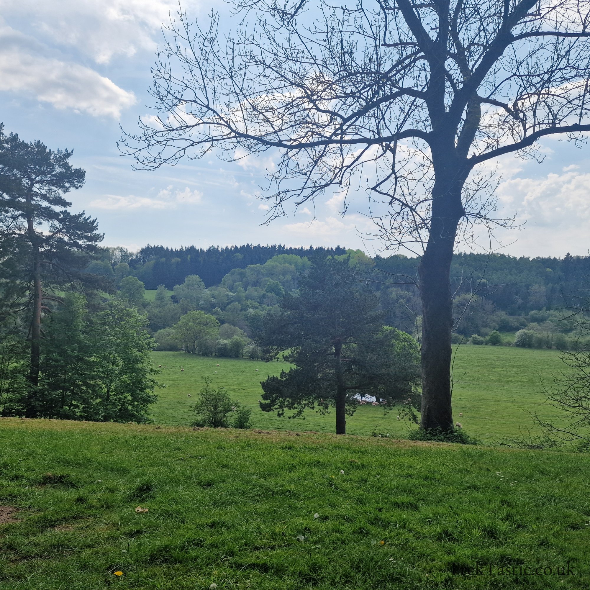 Arley Arboretum gallery image 13