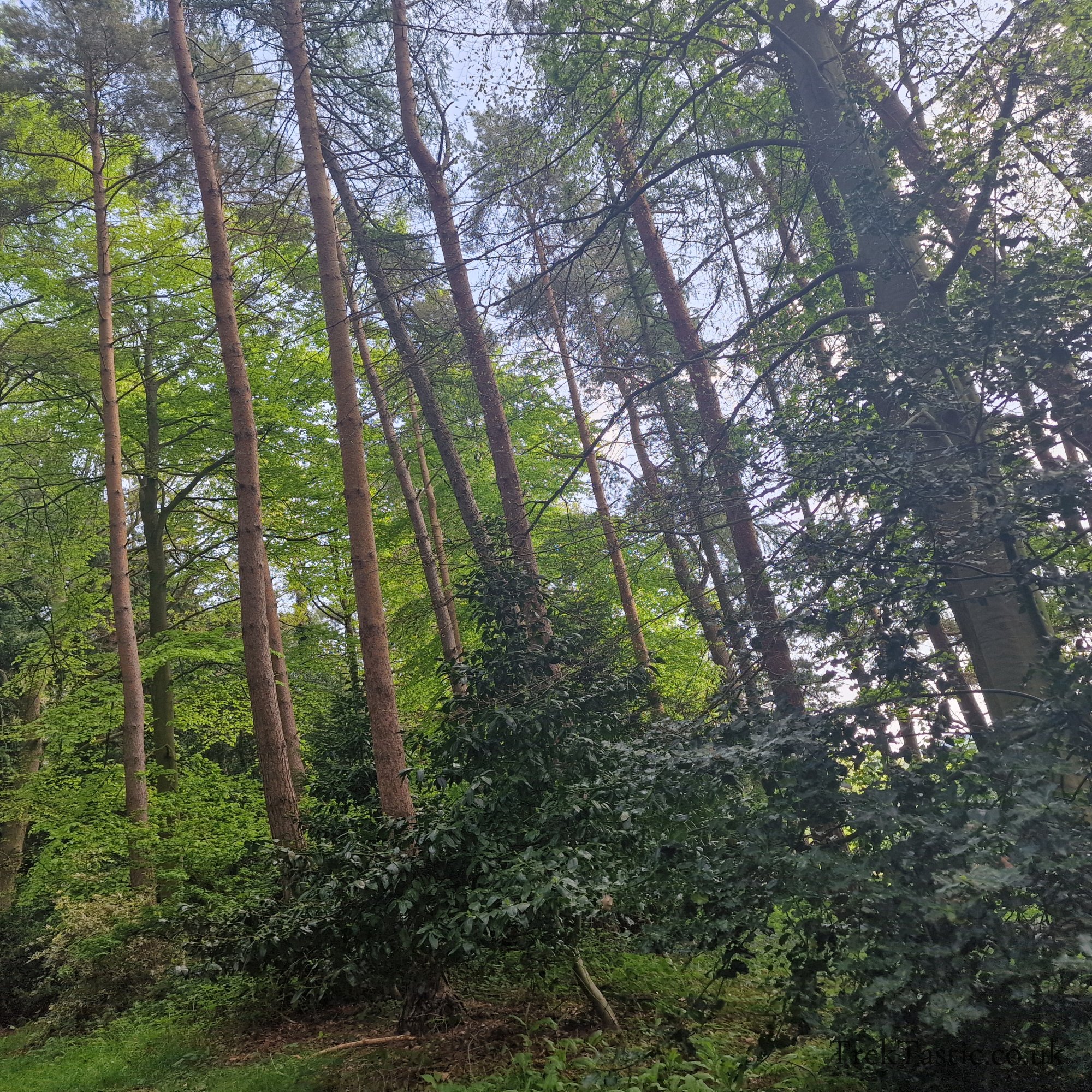 Arley Arboretum gallery image 14