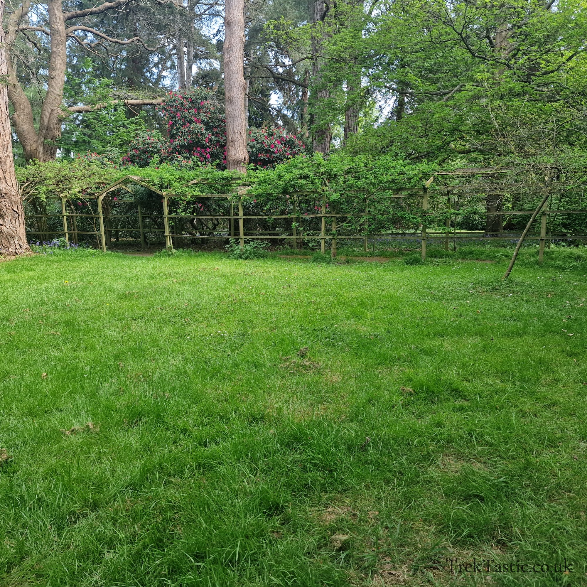 Arley Arboretum gallery image 15