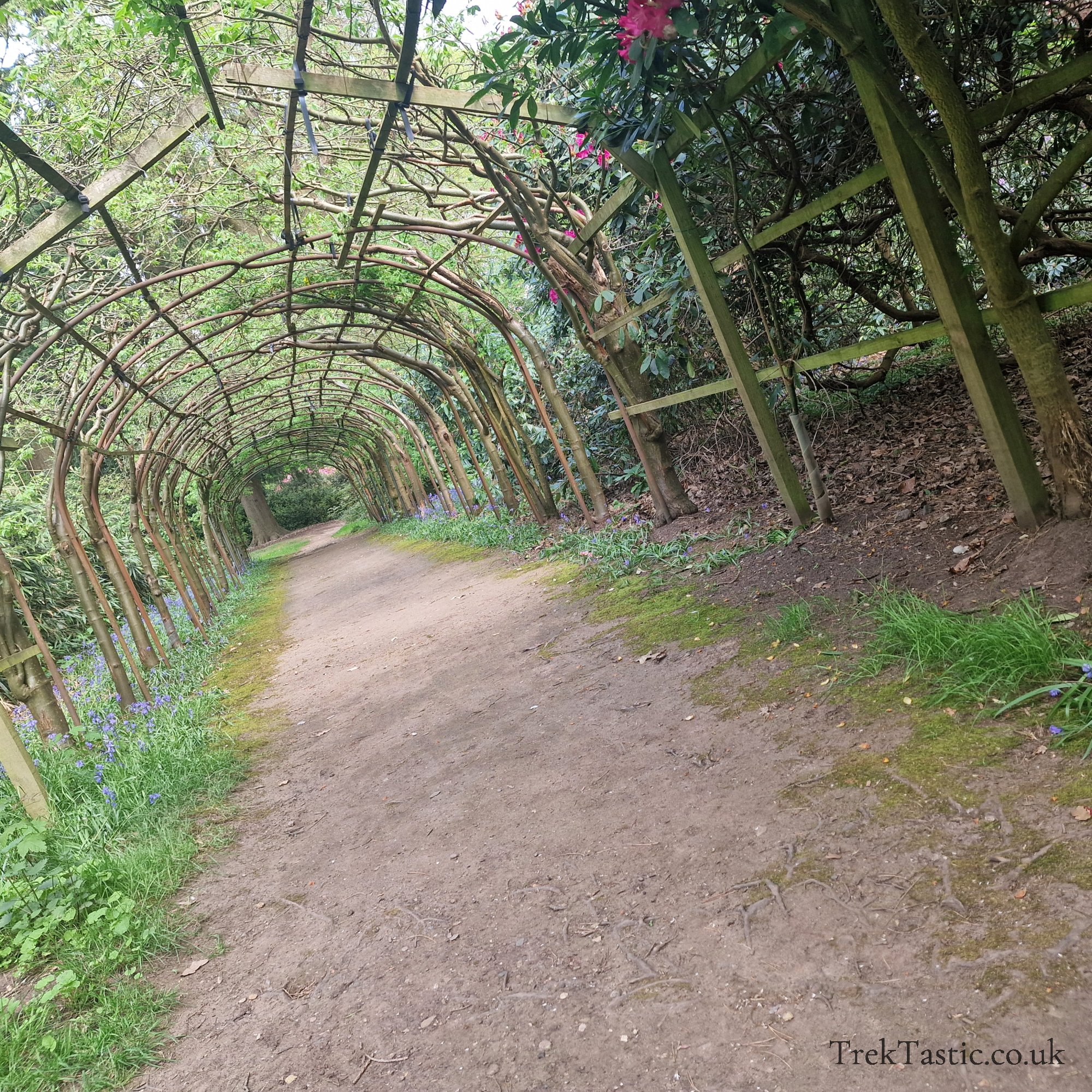 Arley Arboretum gallery image 16