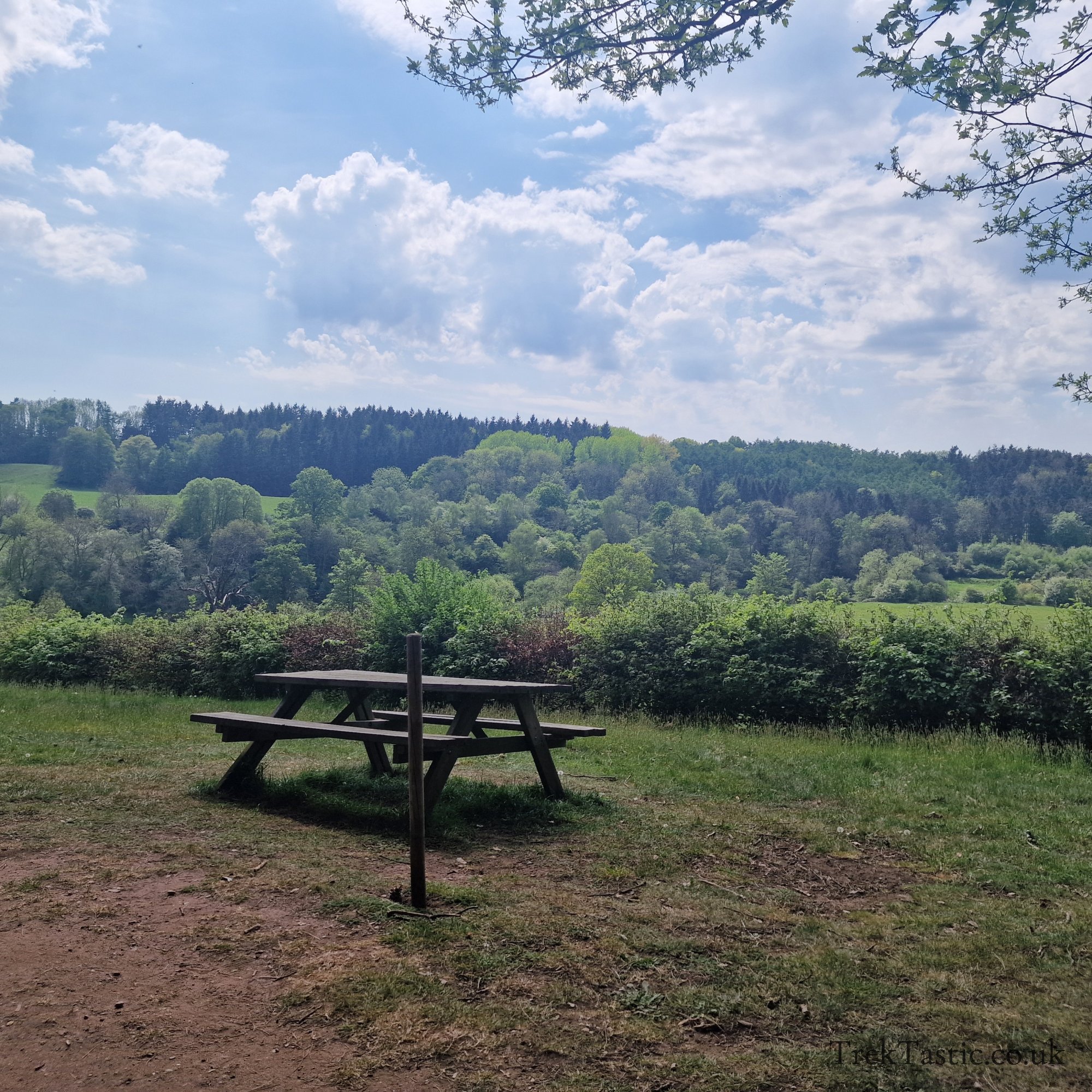 Arley Arboretum gallery image 17