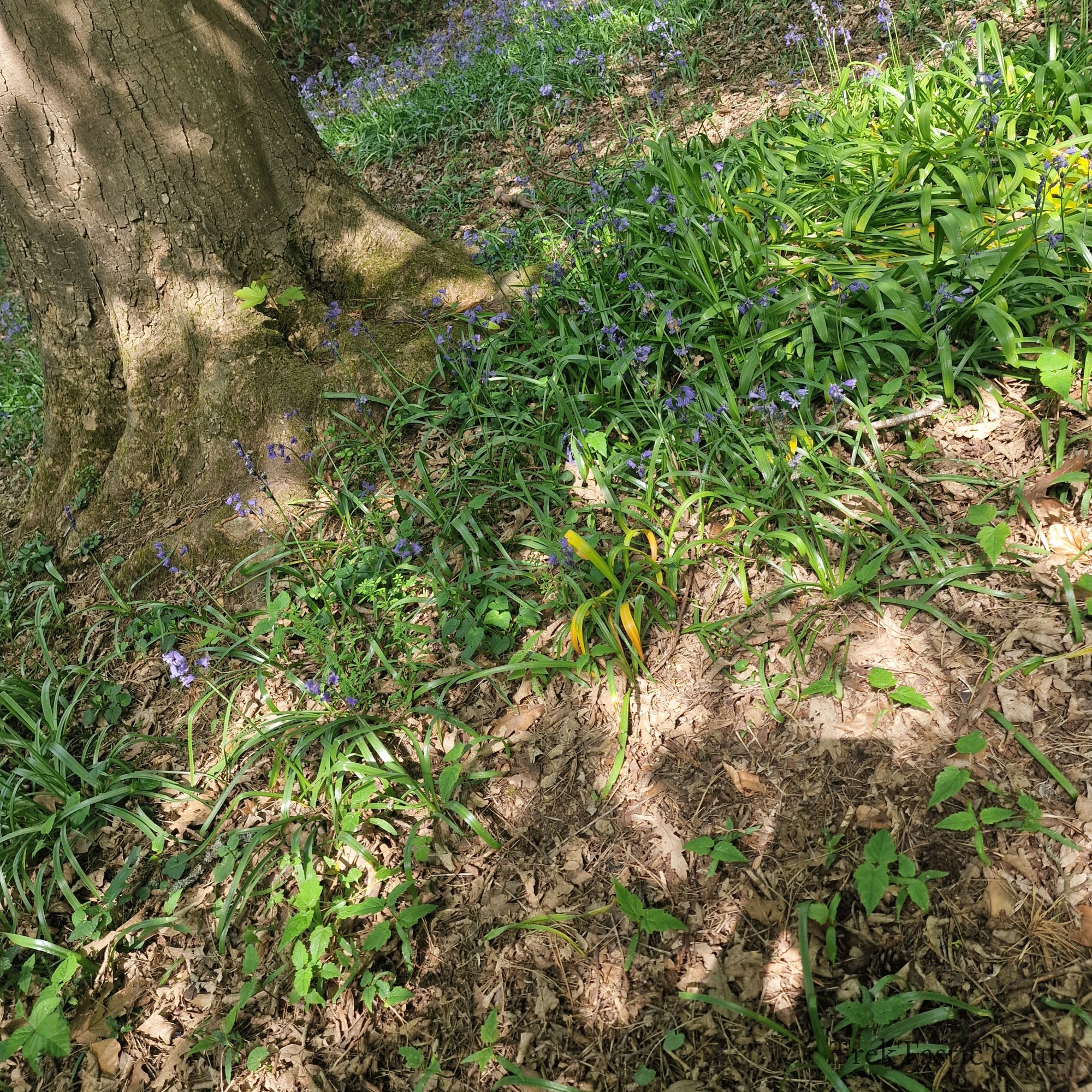 Arley Arboretum gallery image 18