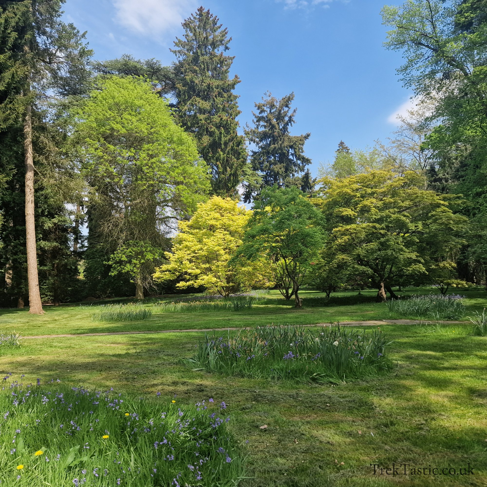Arley Arboretum gallery image 20
