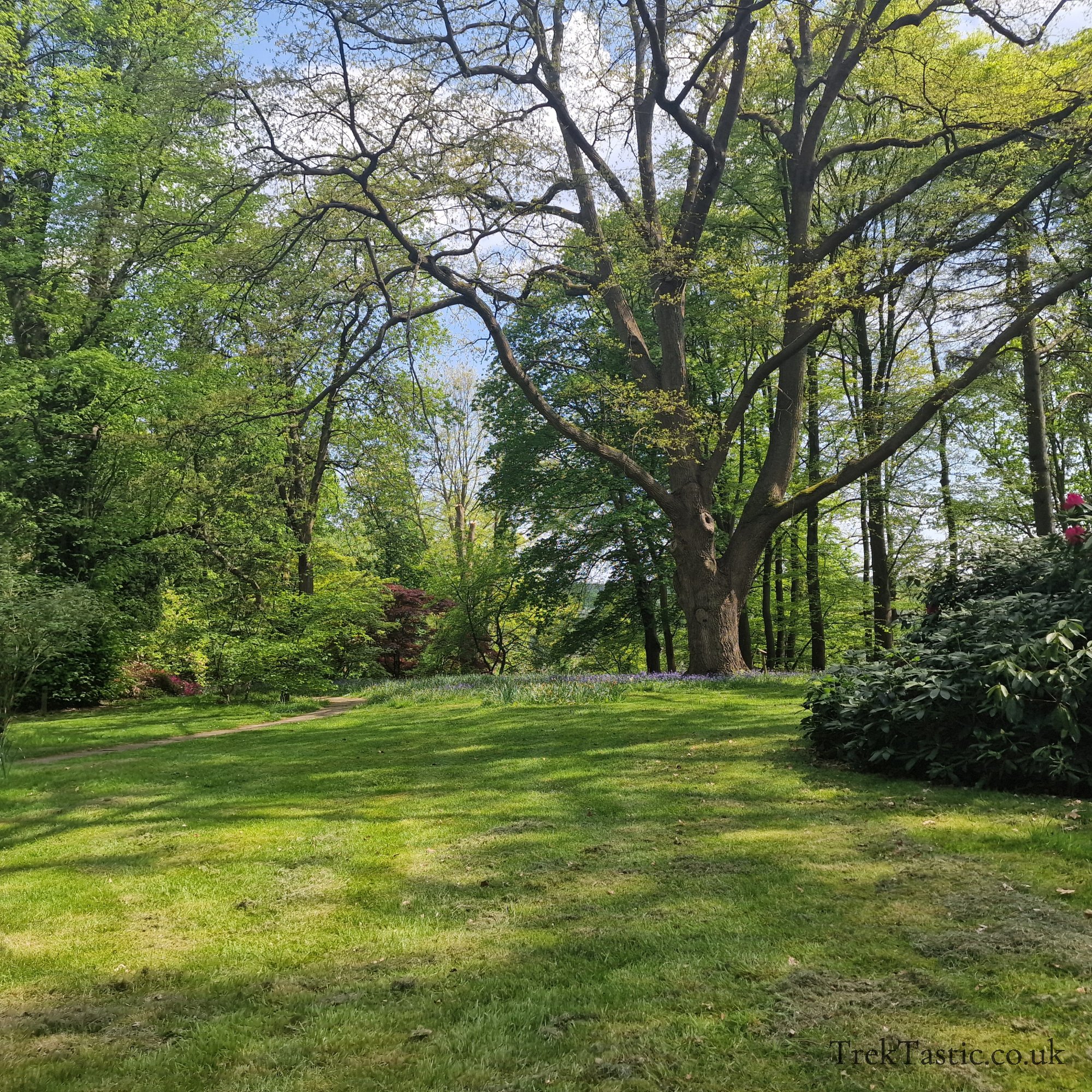 Arley Arboretum gallery image 21