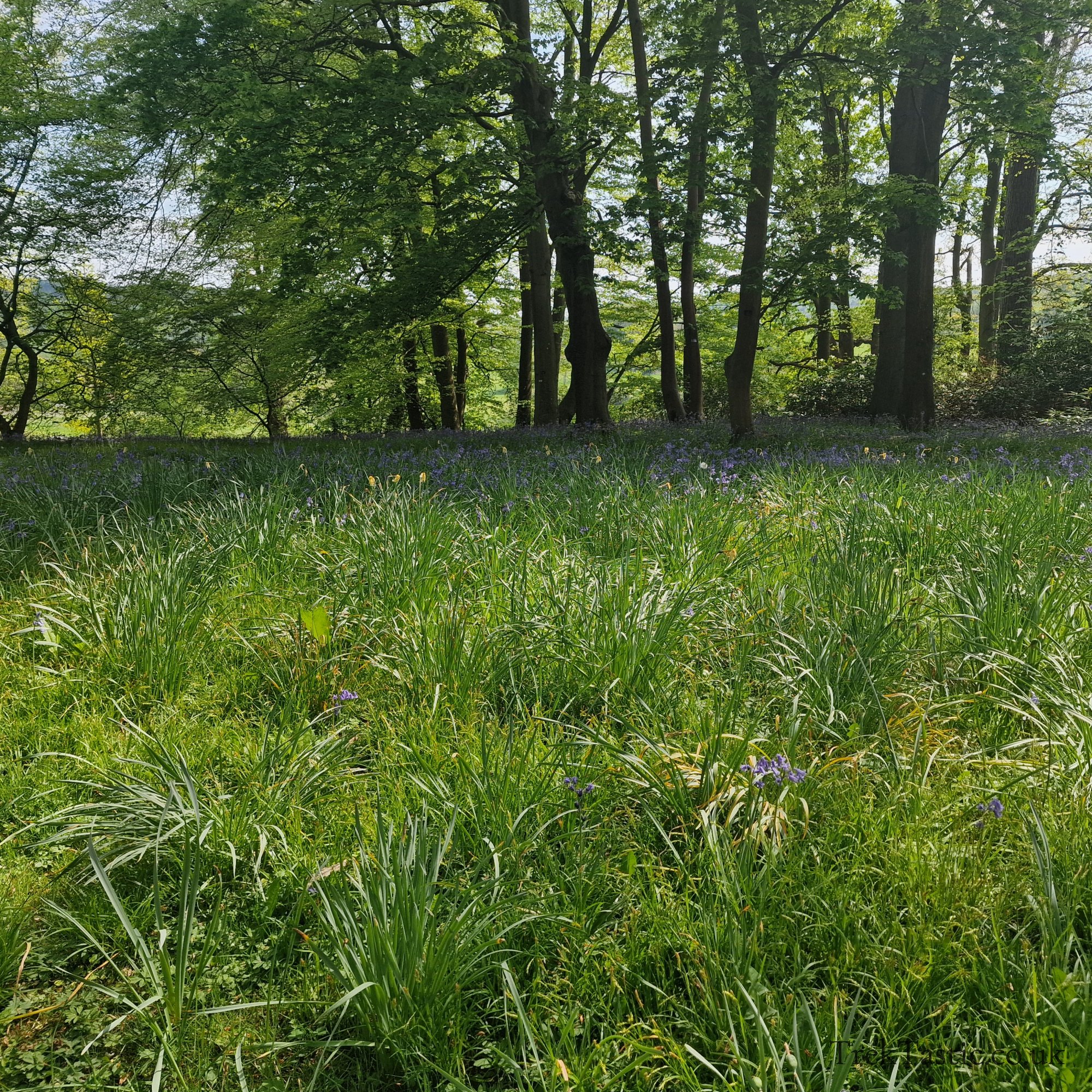 Arley Arboretum gallery image 22