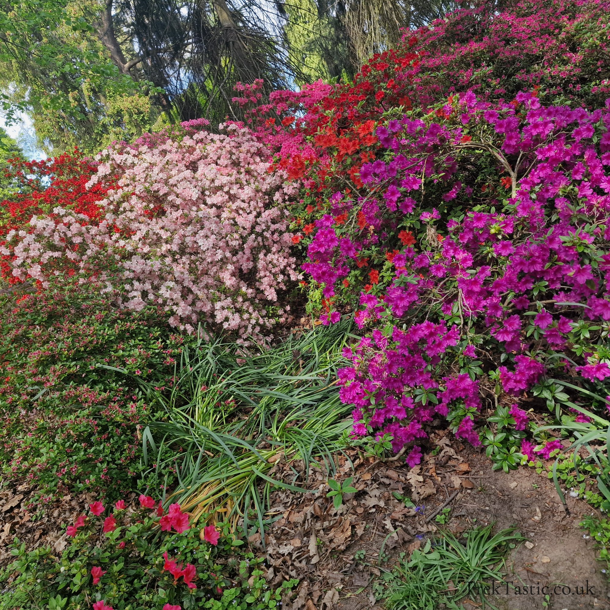 Arley Arboretum gallery image 23