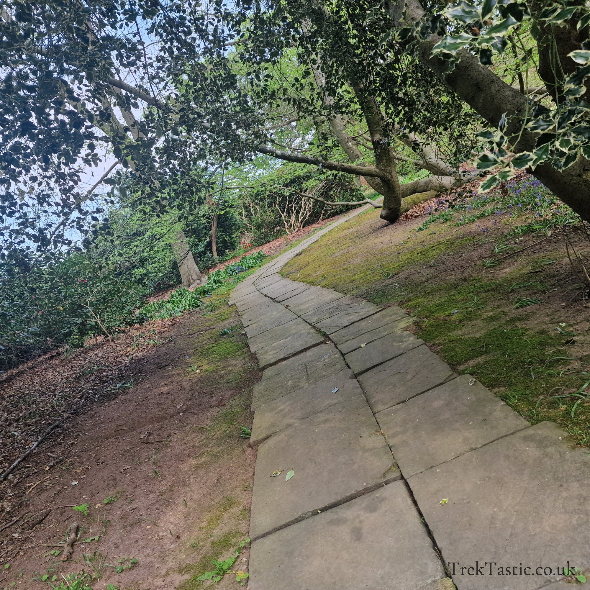 Arley Arboretum gallery image 24