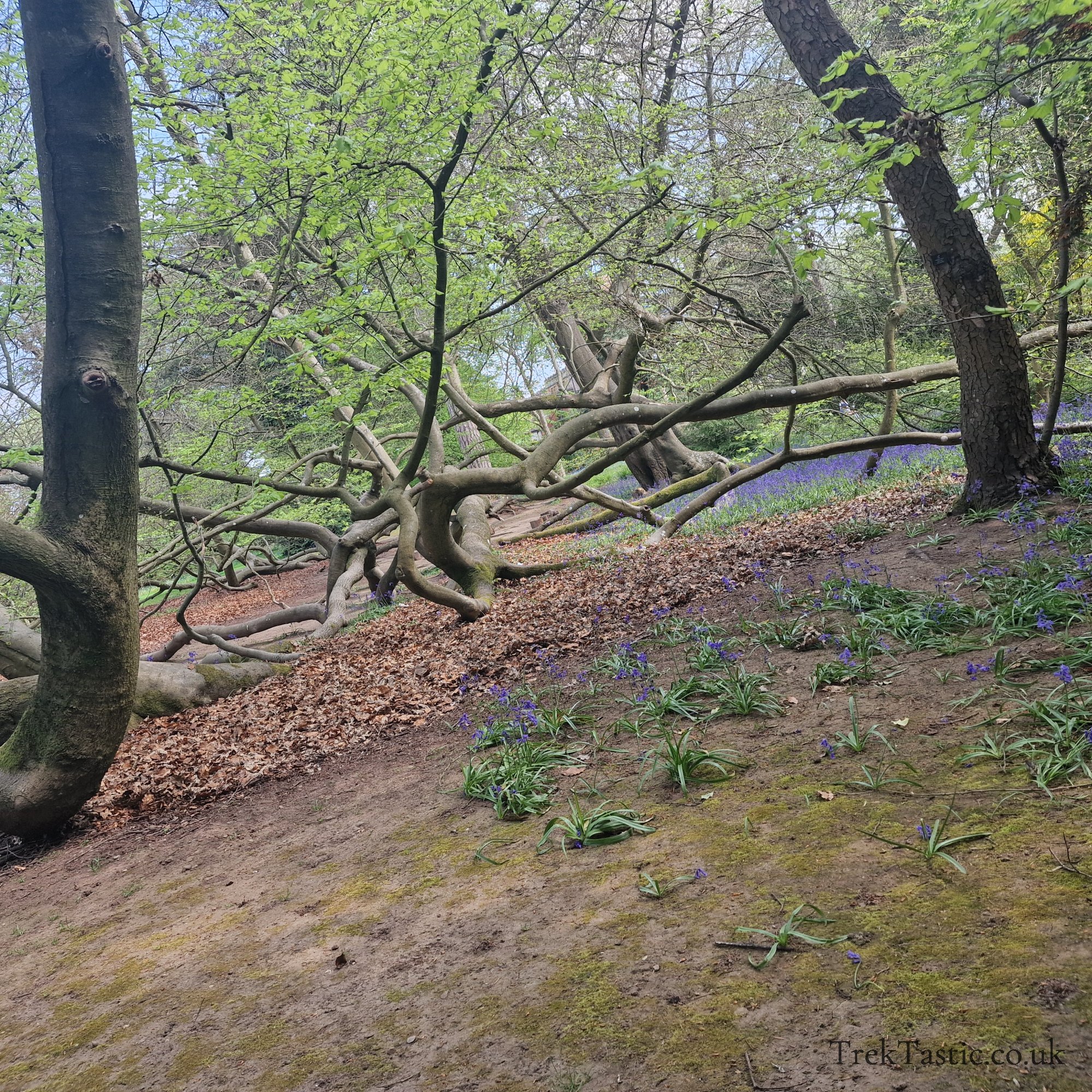 Arley Arboretum gallery image 25