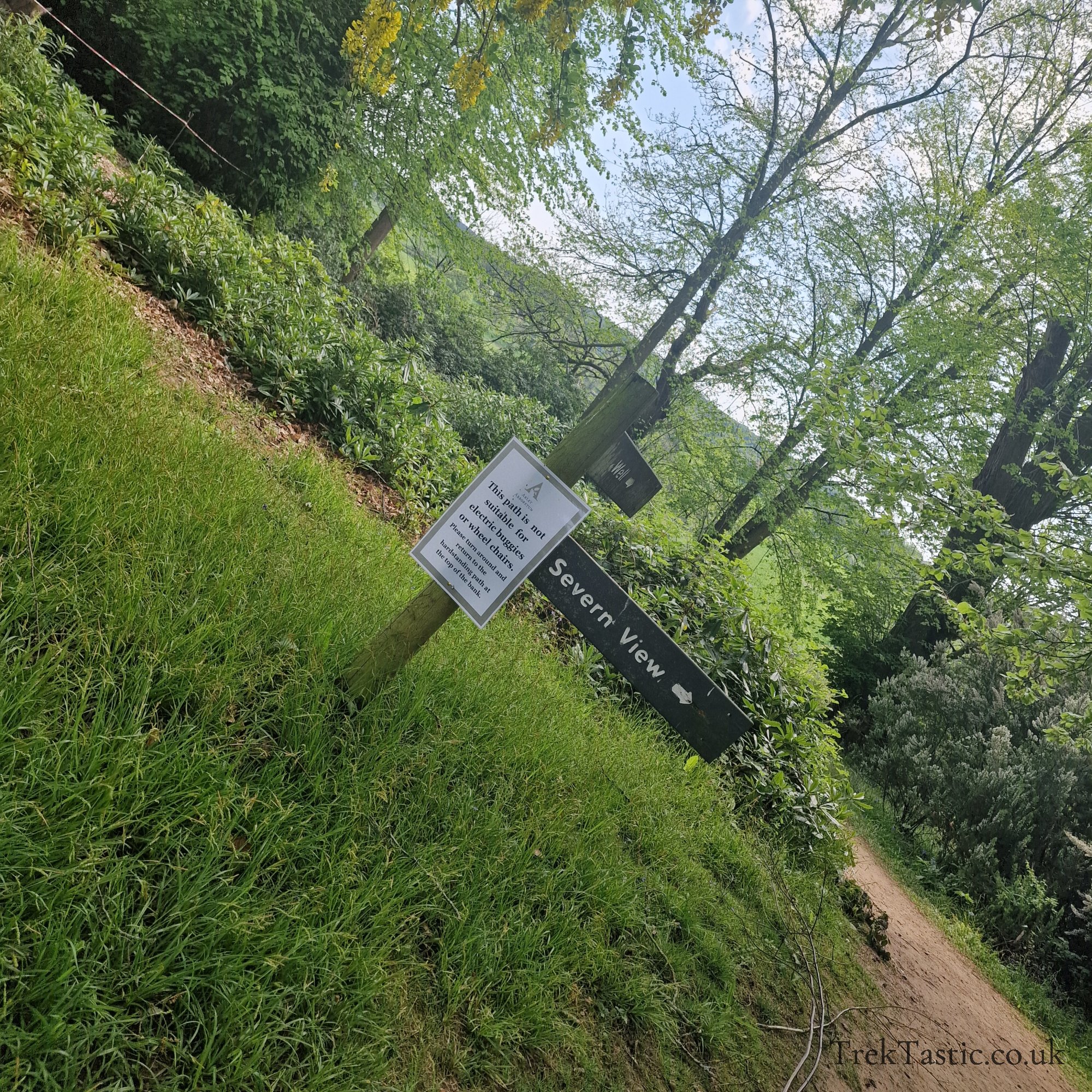 Arley Arboretum gallery image 27