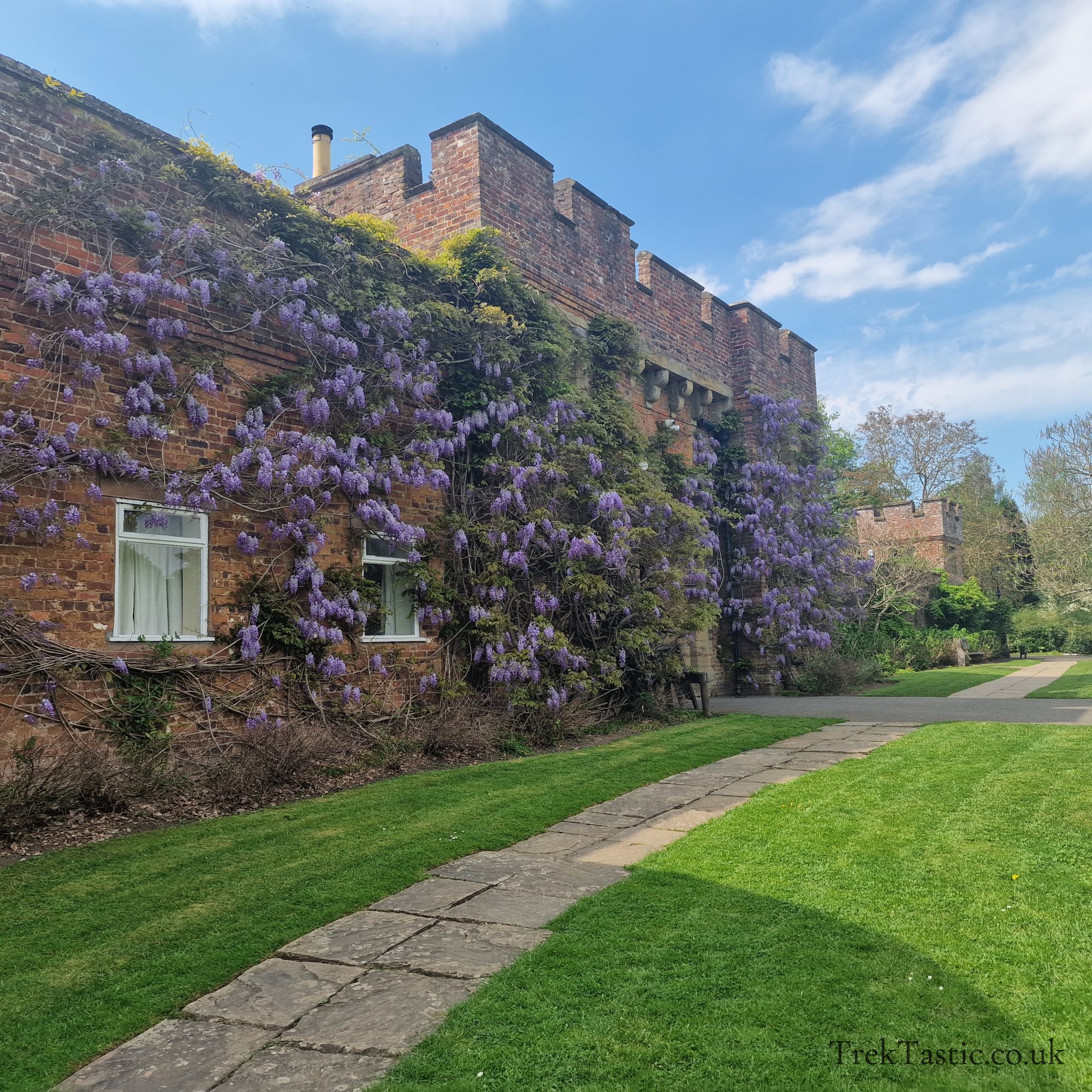 Arley Arboretum gallery image 35