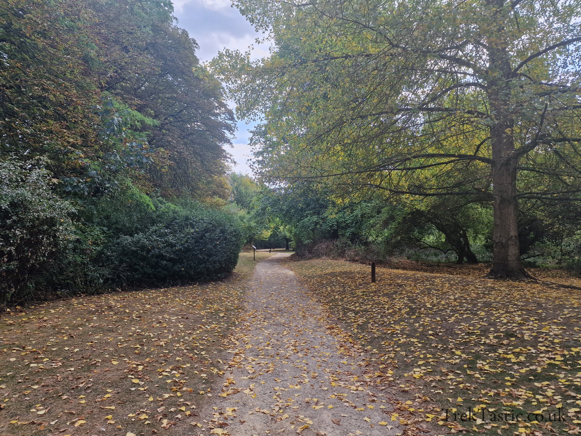 Attenborough Arboretum gallery image 4