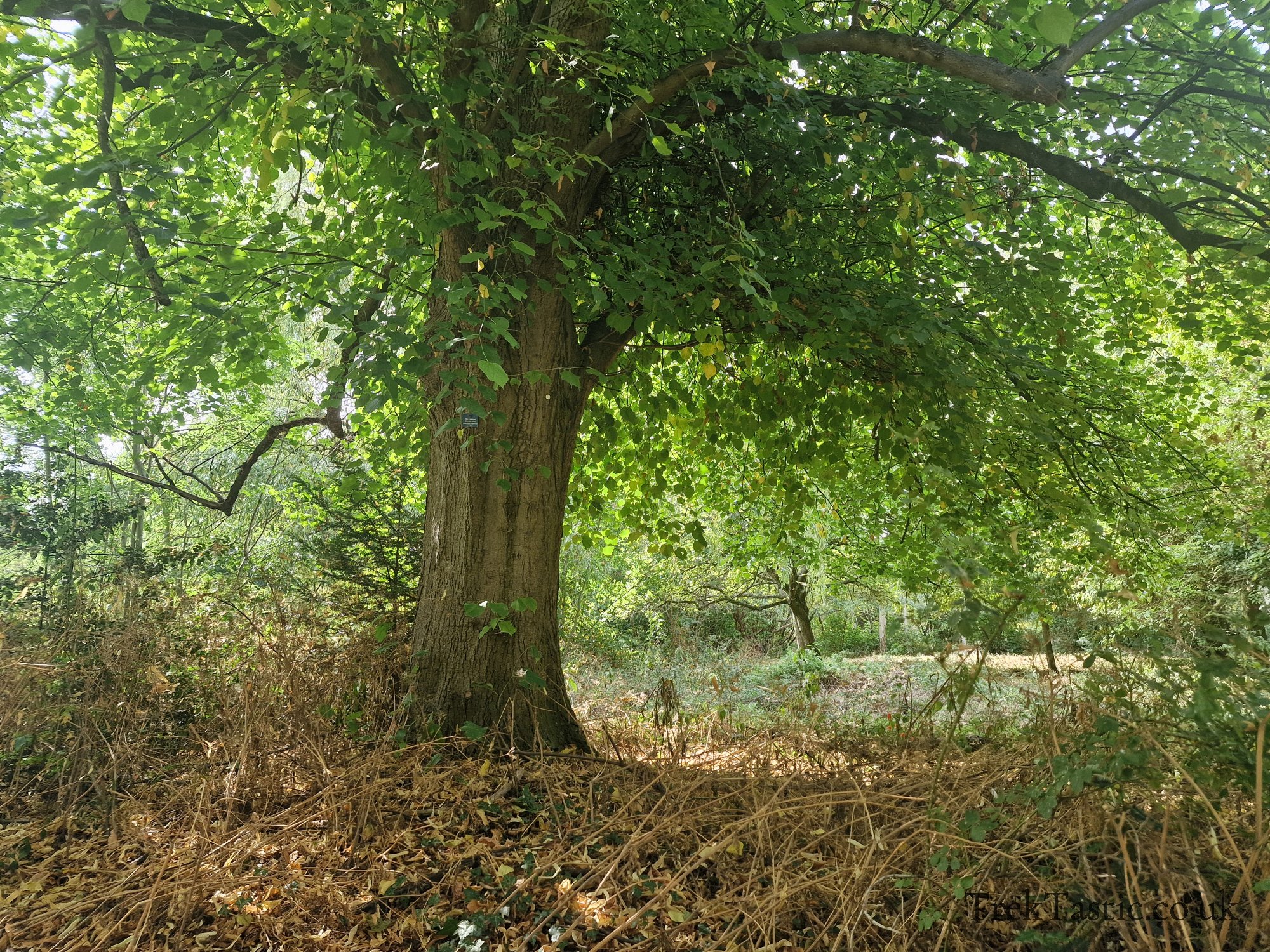 Attenborough Arboretum gallery image 5