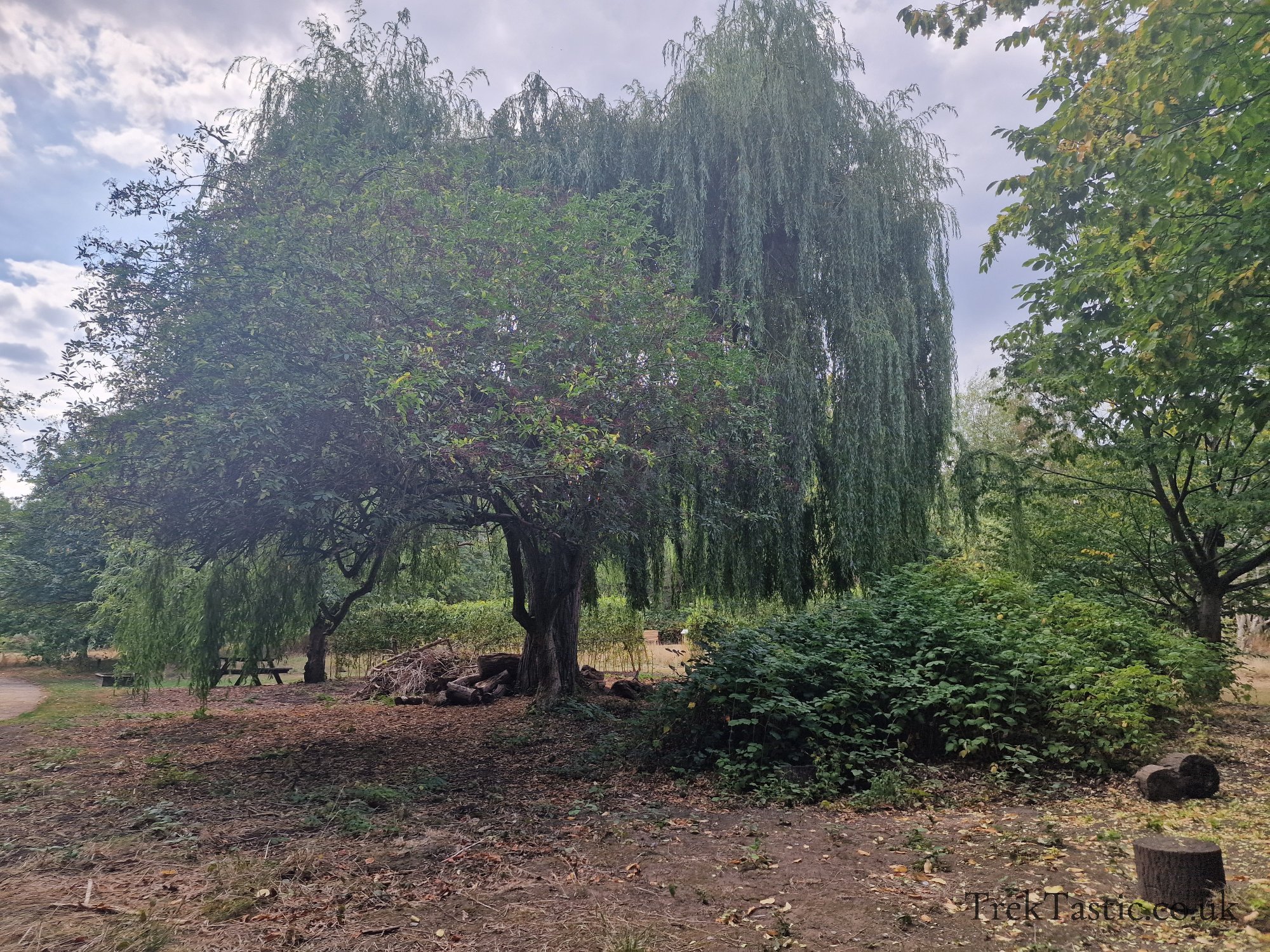 Attenborough Arboretum gallery image 7
