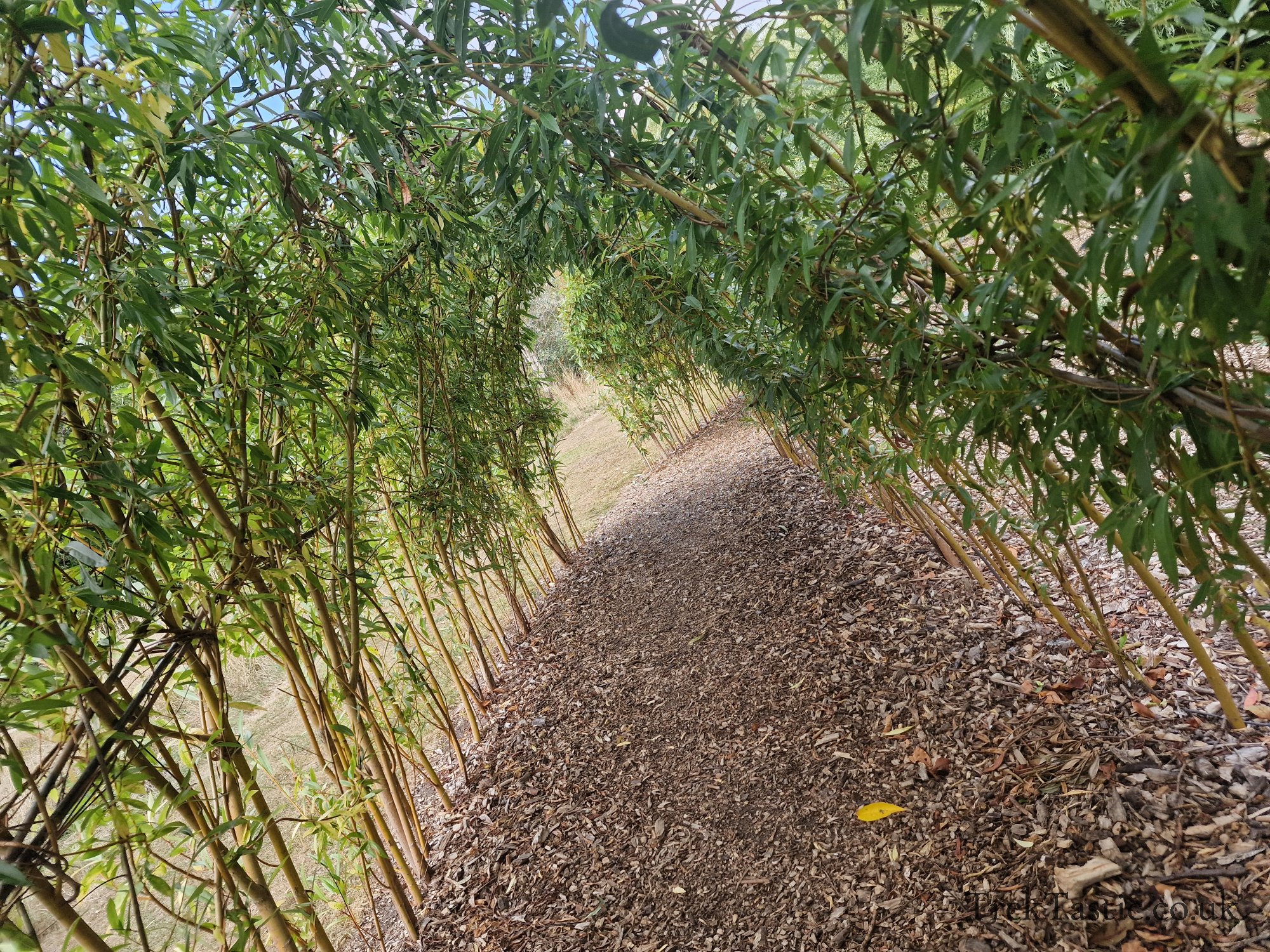 Attenborough Arboretum gallery image 9