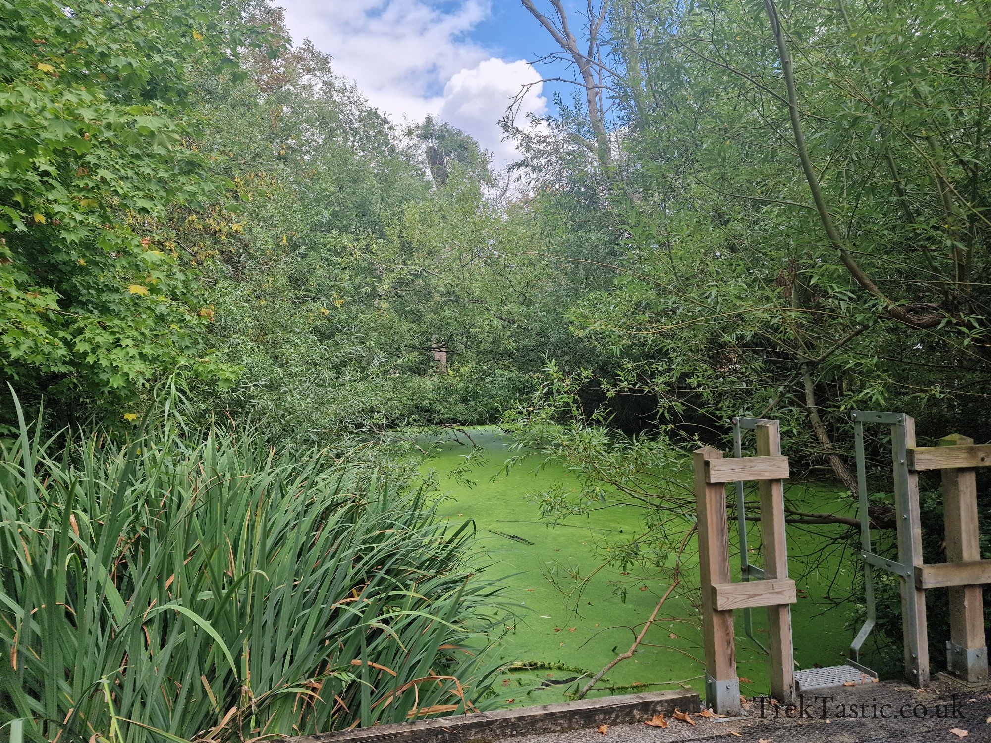 Attenborough Arboretum gallery image 13