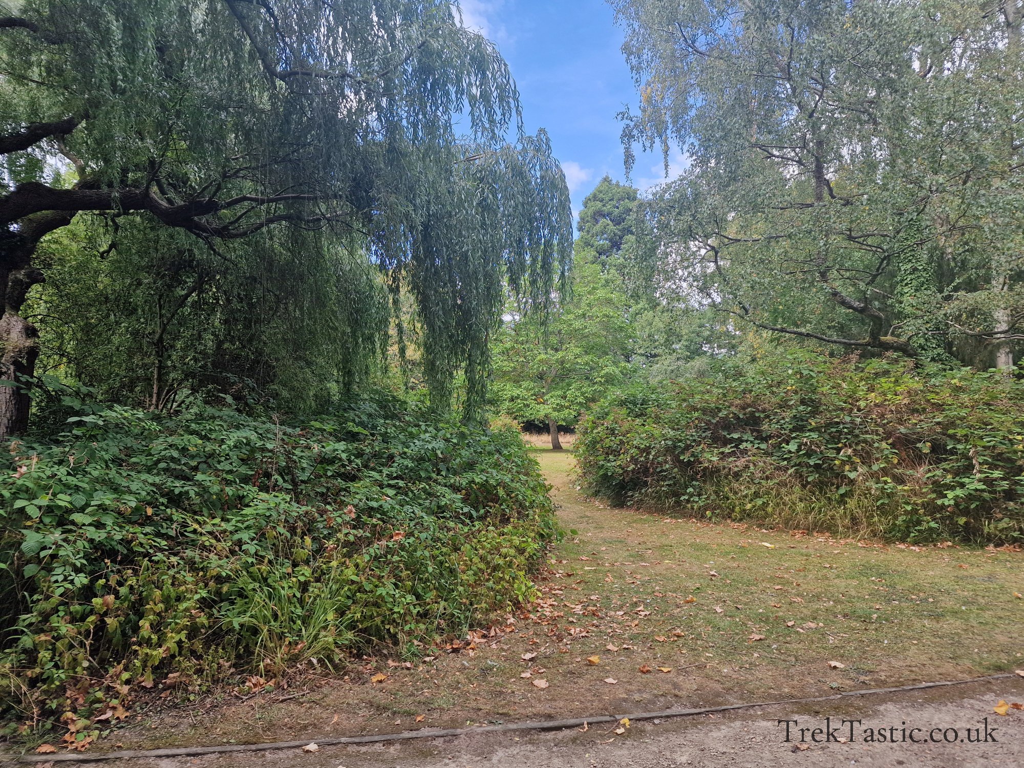 Attenborough Arboretum gallery image 14