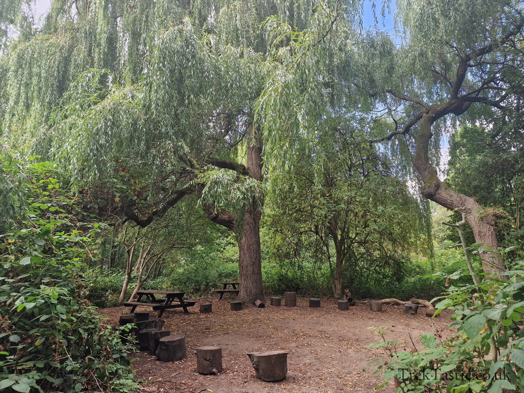 Attenborough Arboretum gallery image 15