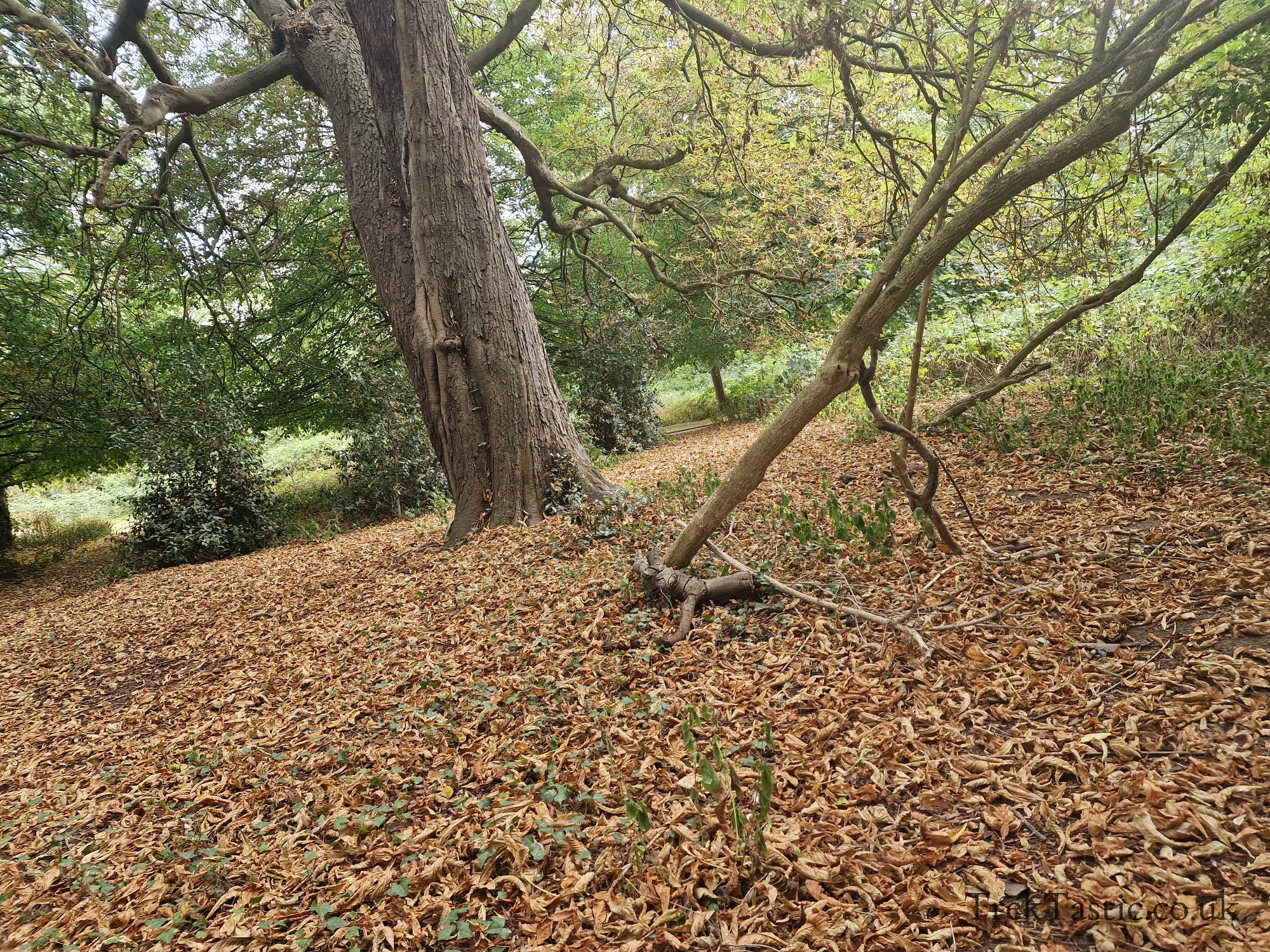 Attenborough Arboretum