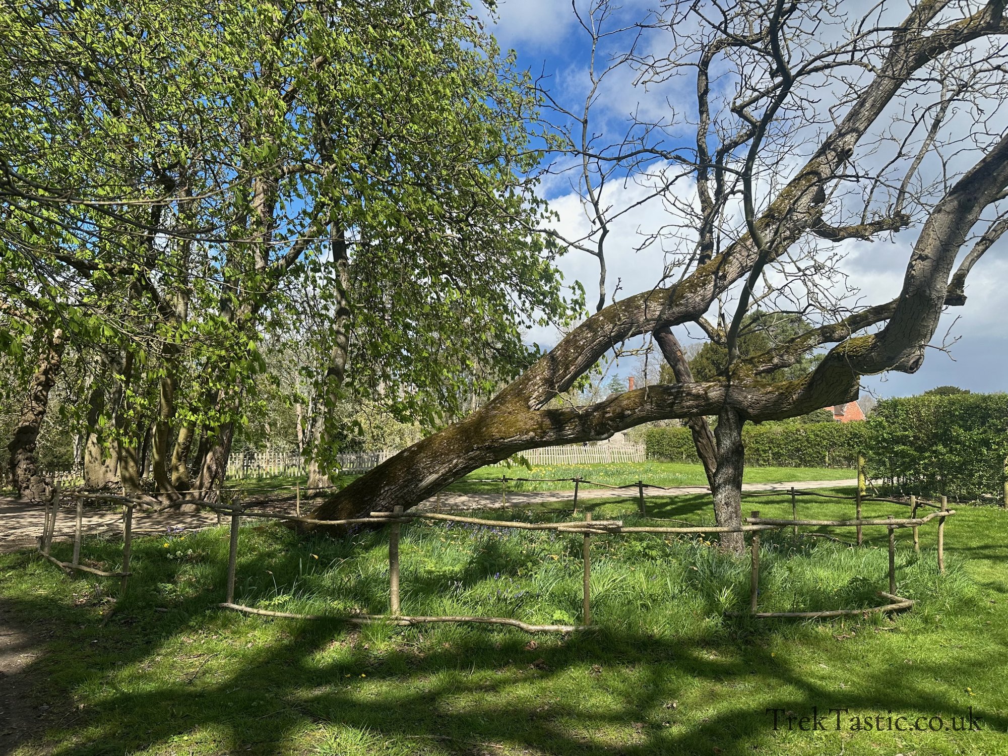 Baddesley Clinton gallery image 15