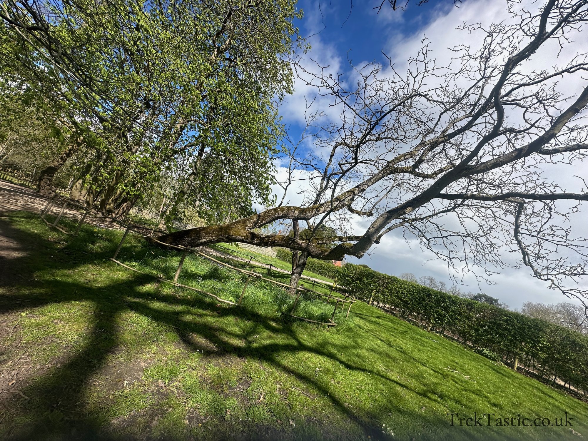 Baddesley Clinton gallery image 16