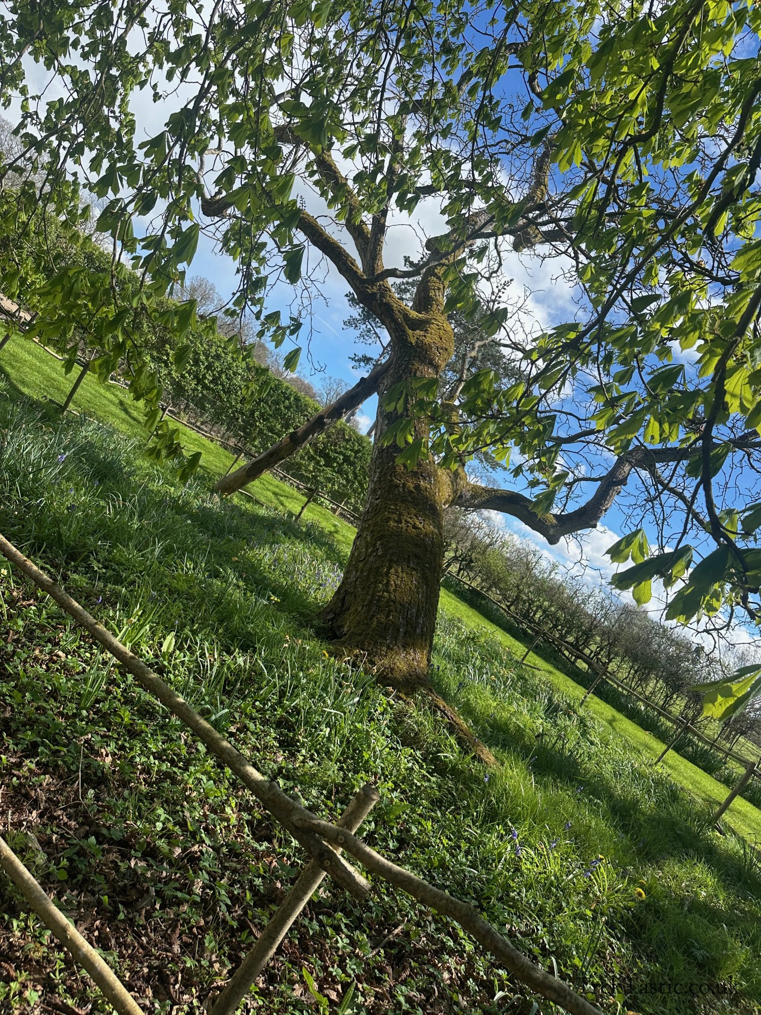 Baddesley Clinton gallery image 17