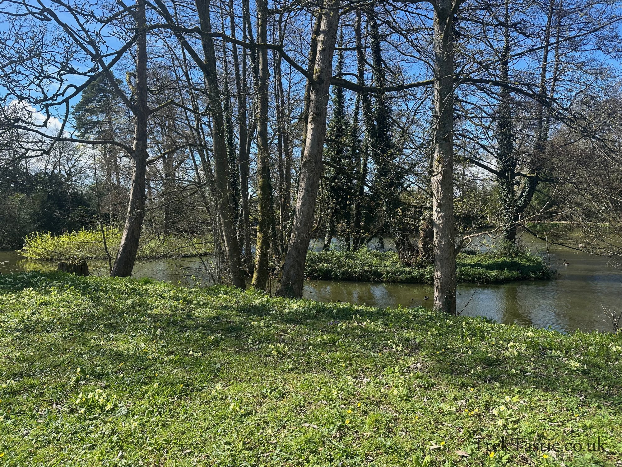 Baddesley Clinton gallery image 19
