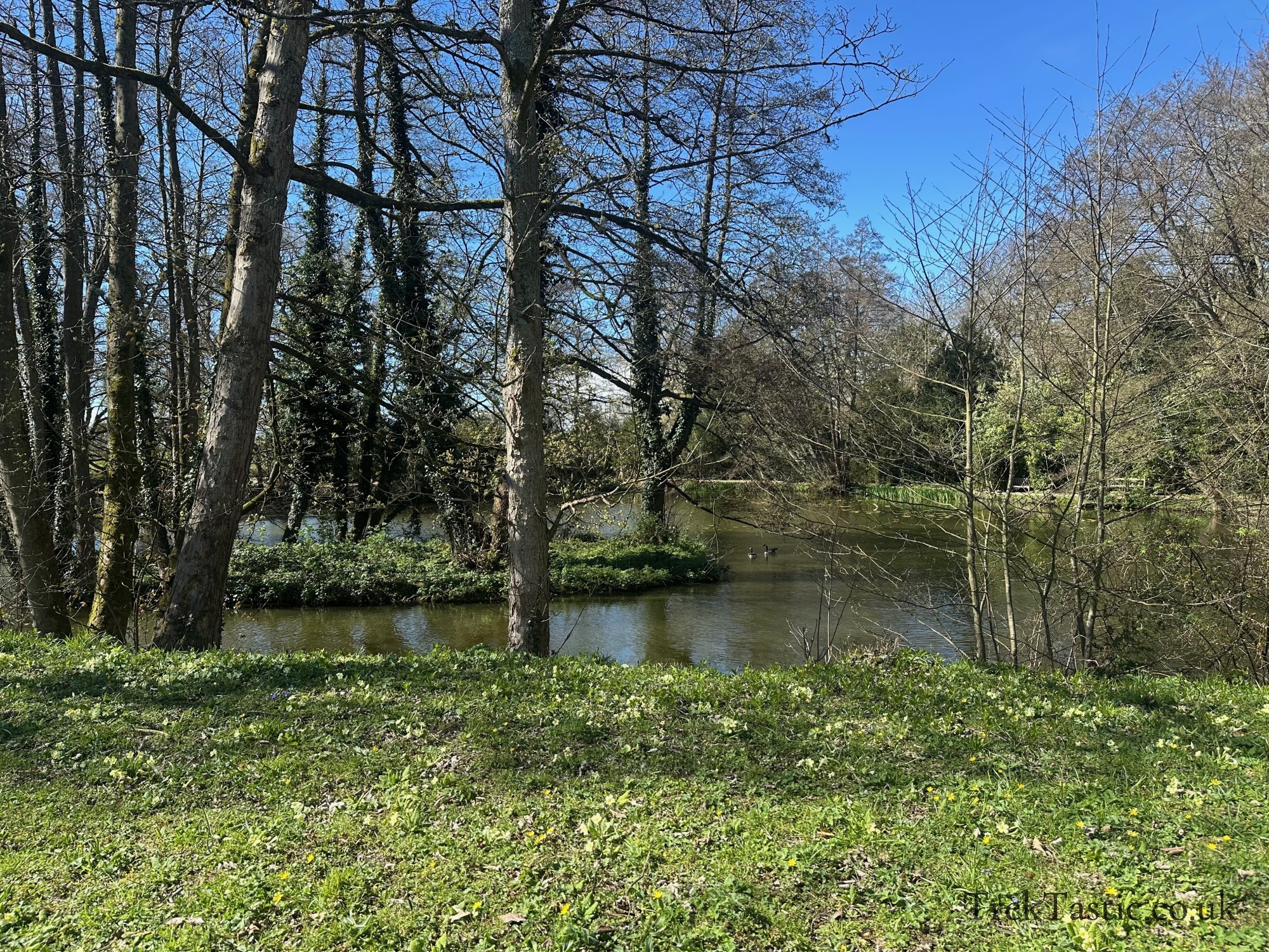 Baddesley Clinton gallery image 21