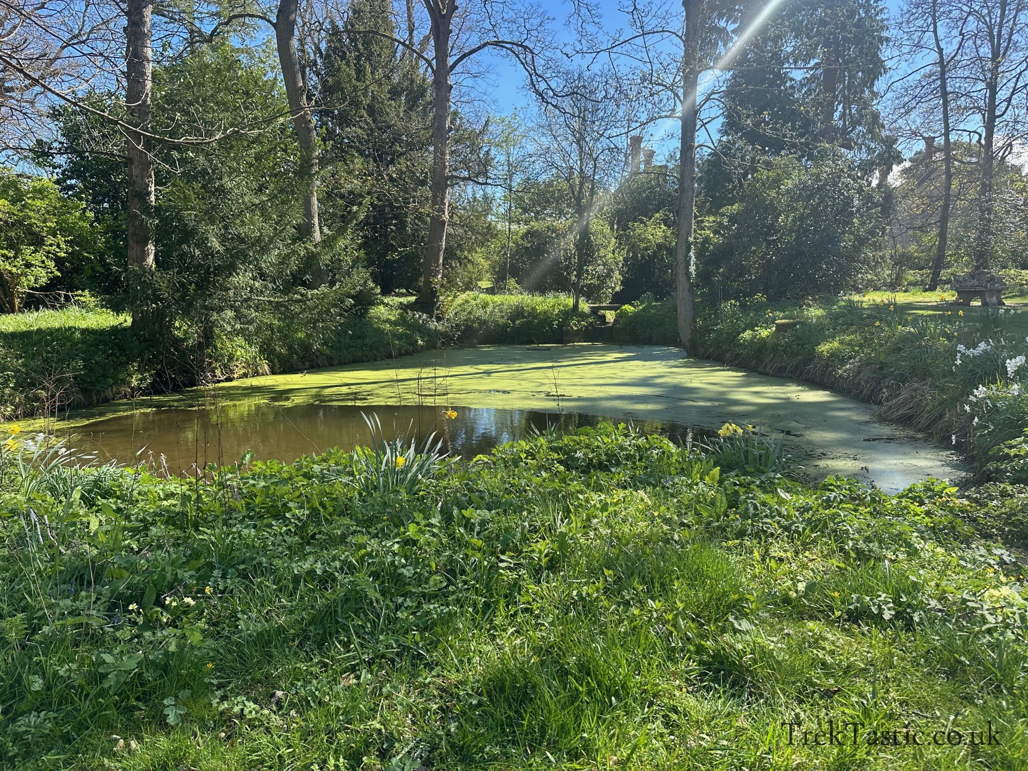 Baddesley Clinton gallery image 24