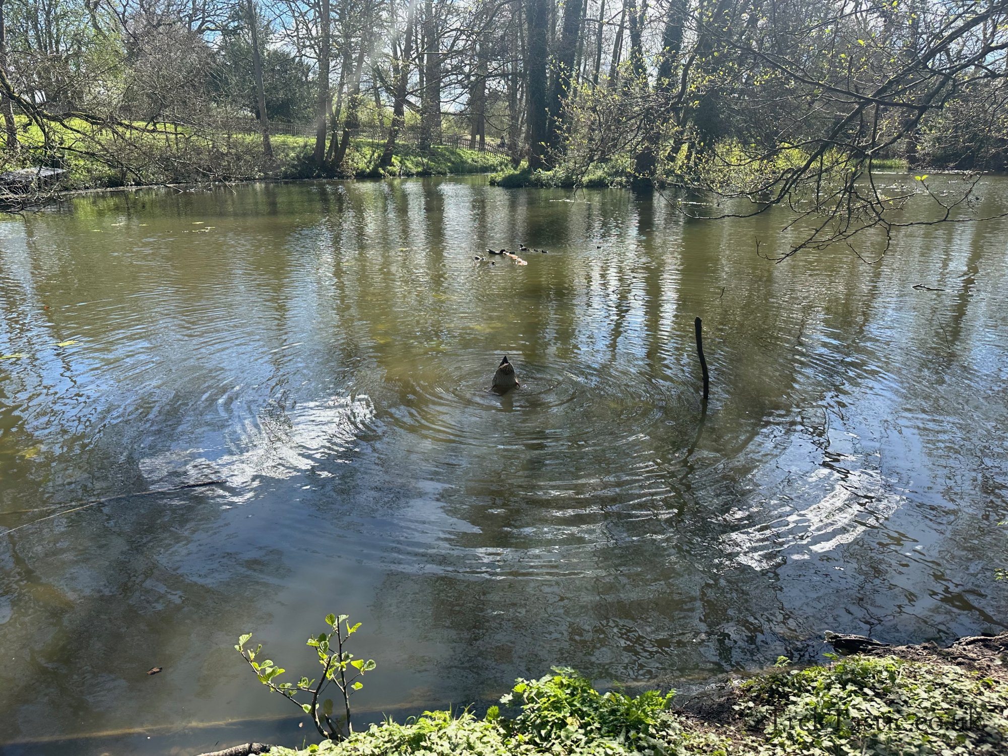 Baddesley Clinton gallery image 30