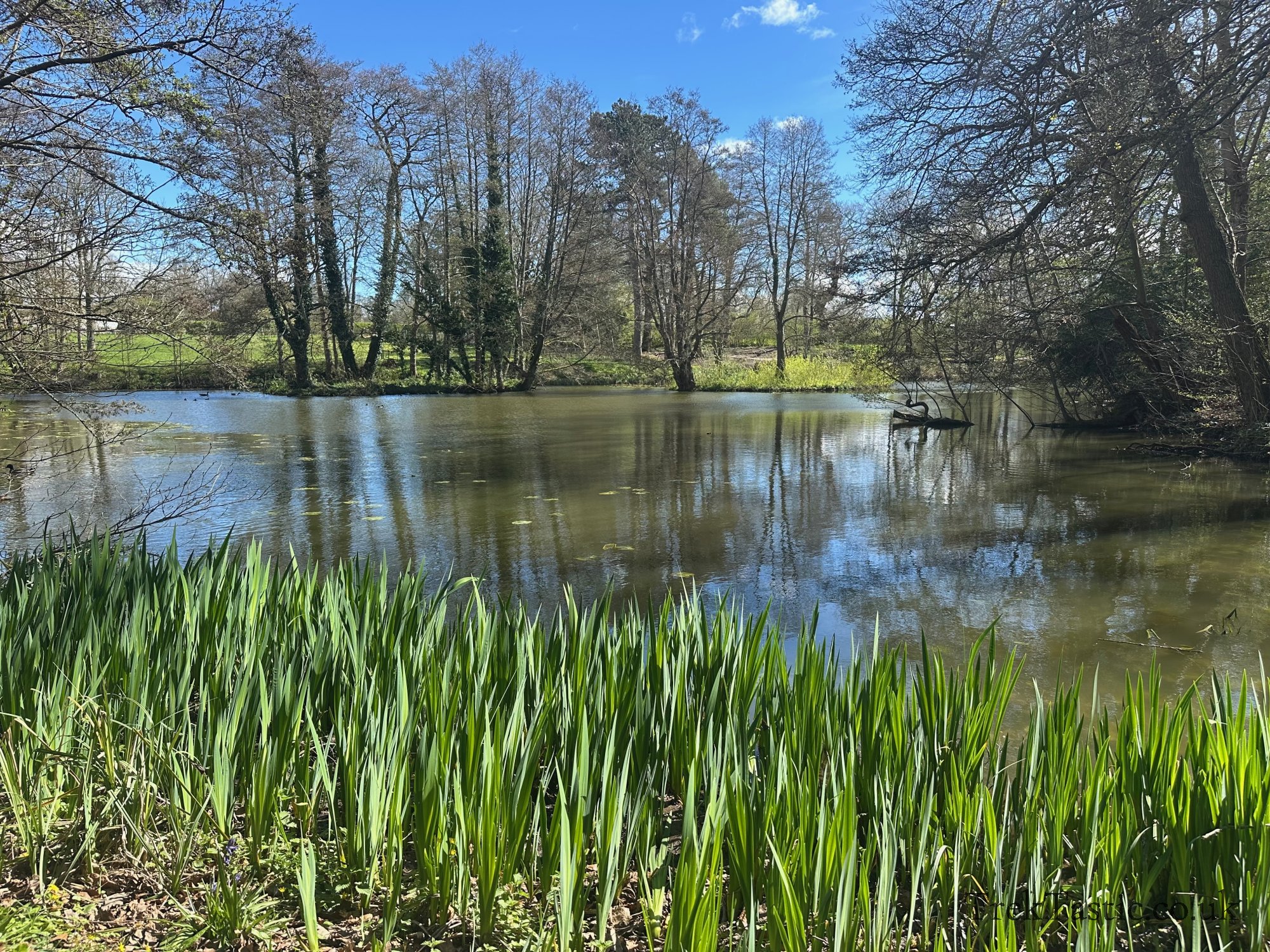 Baddesley Clinton gallery image 31
