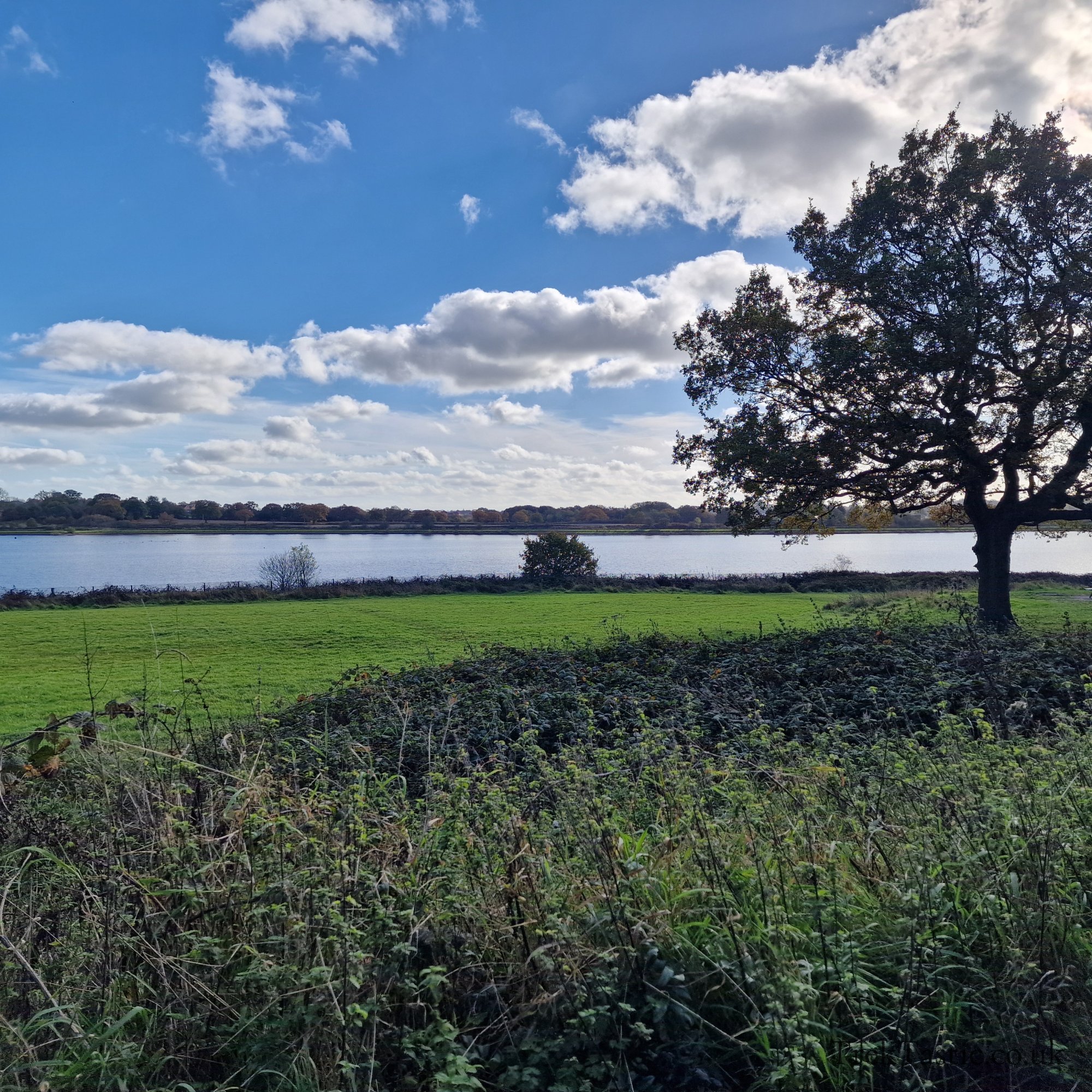 Bartley Reservoir gallery image 2
