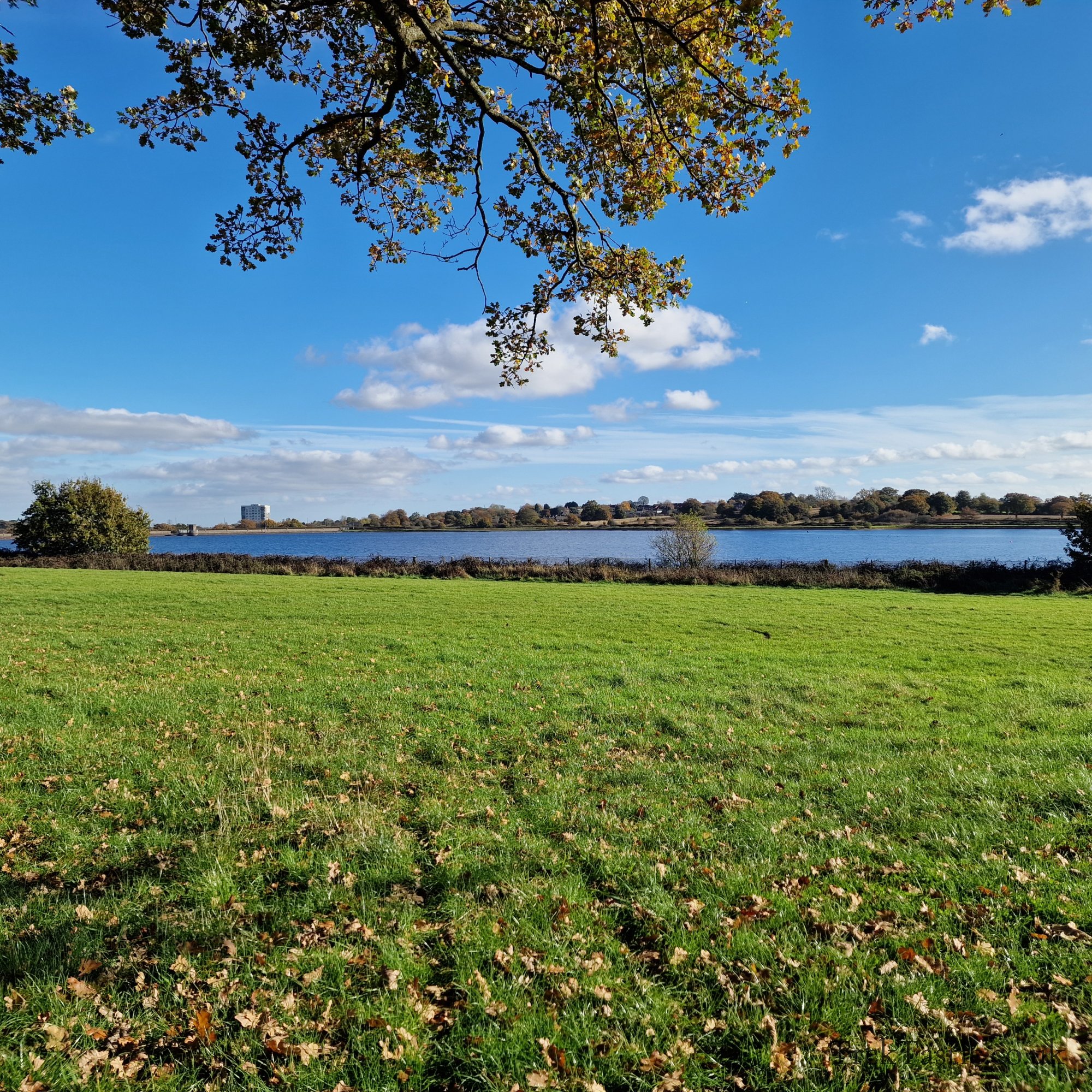 Bartley Reservoir gallery image 3