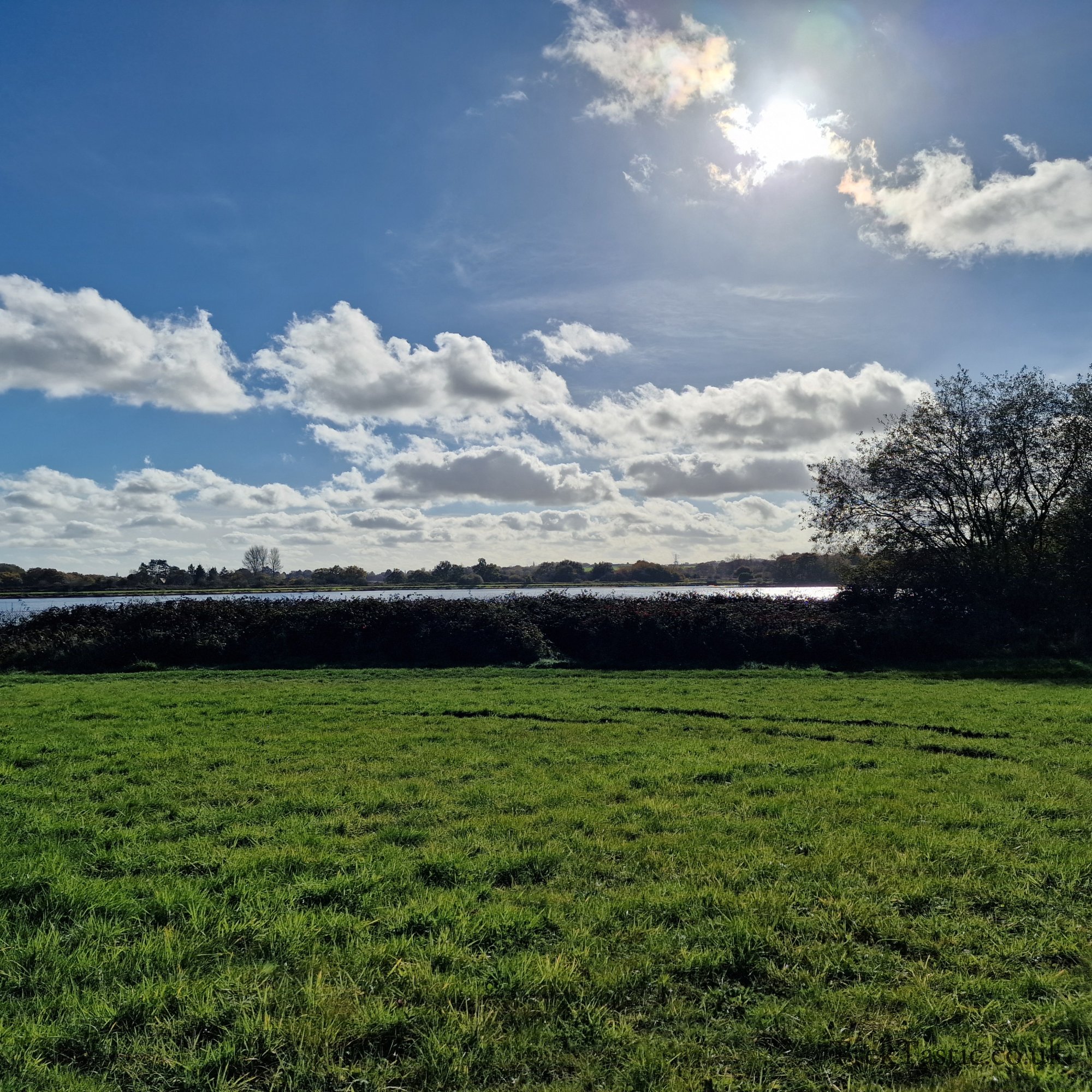 Bartley Reservoir gallery image 6