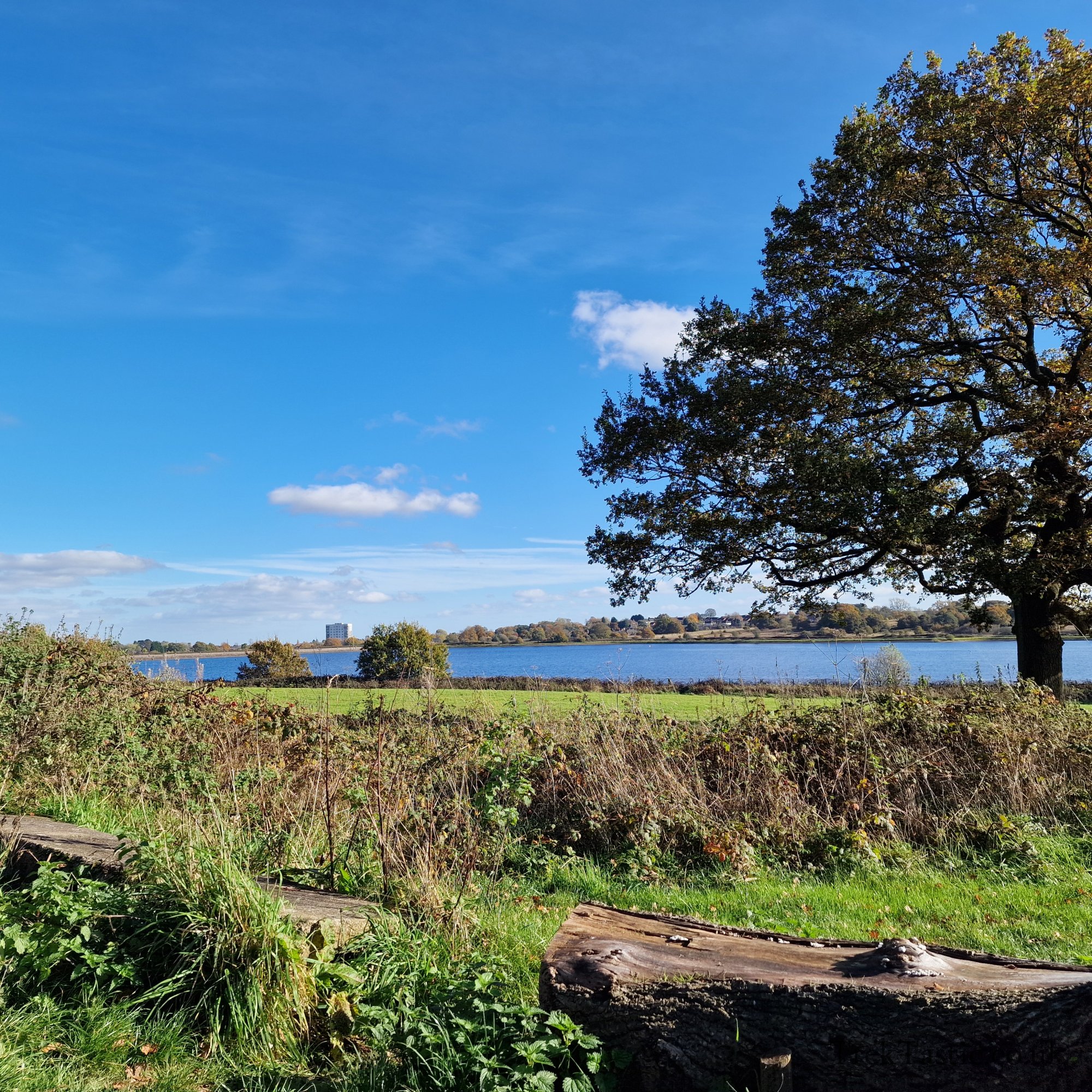 Bartley Reservoir