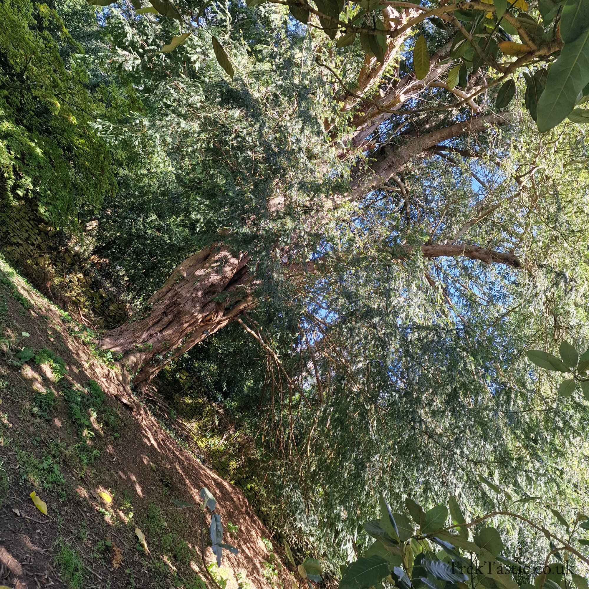 Batsford Arboretum gallery image 2