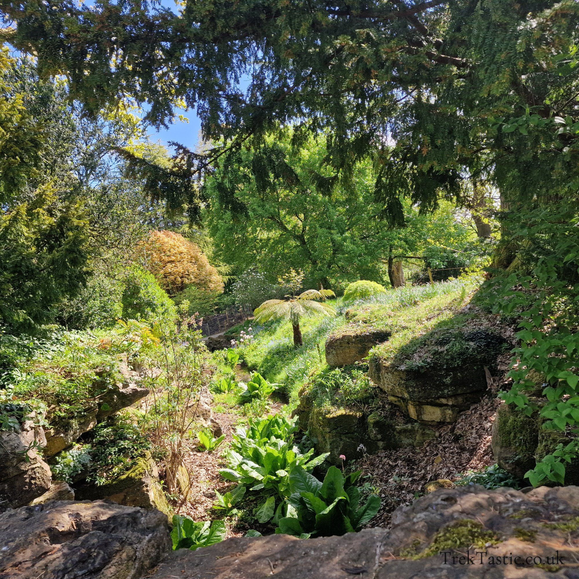 Batsford Arboretum gallery image 4