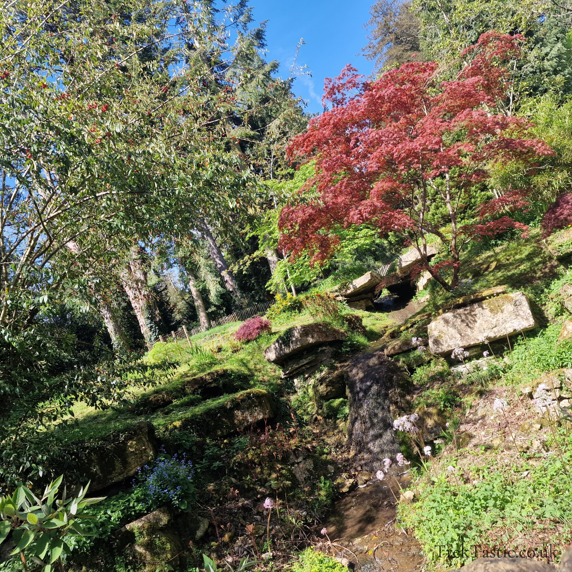 Batsford Arboretum gallery image 5
