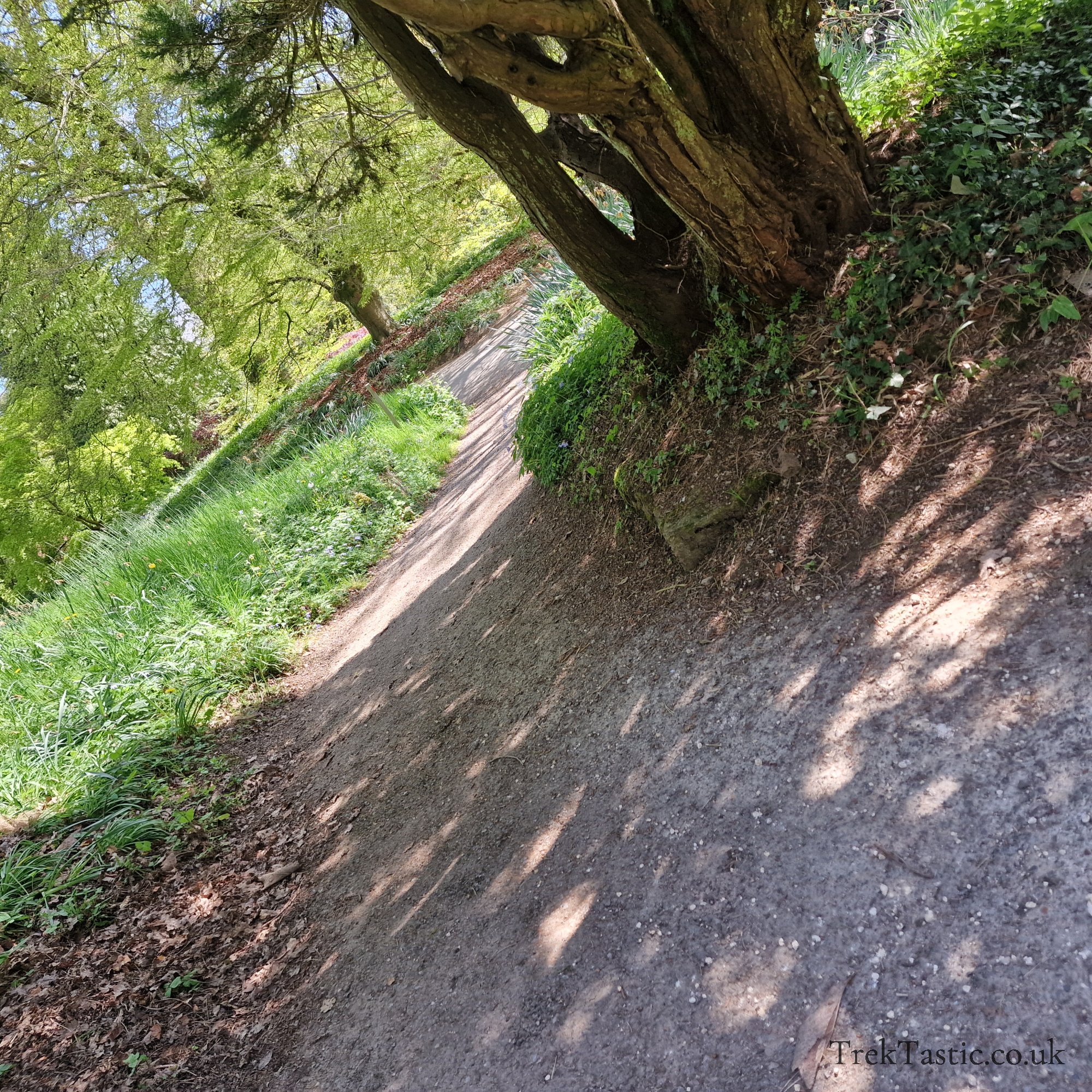 Batsford Arboretum gallery image 7