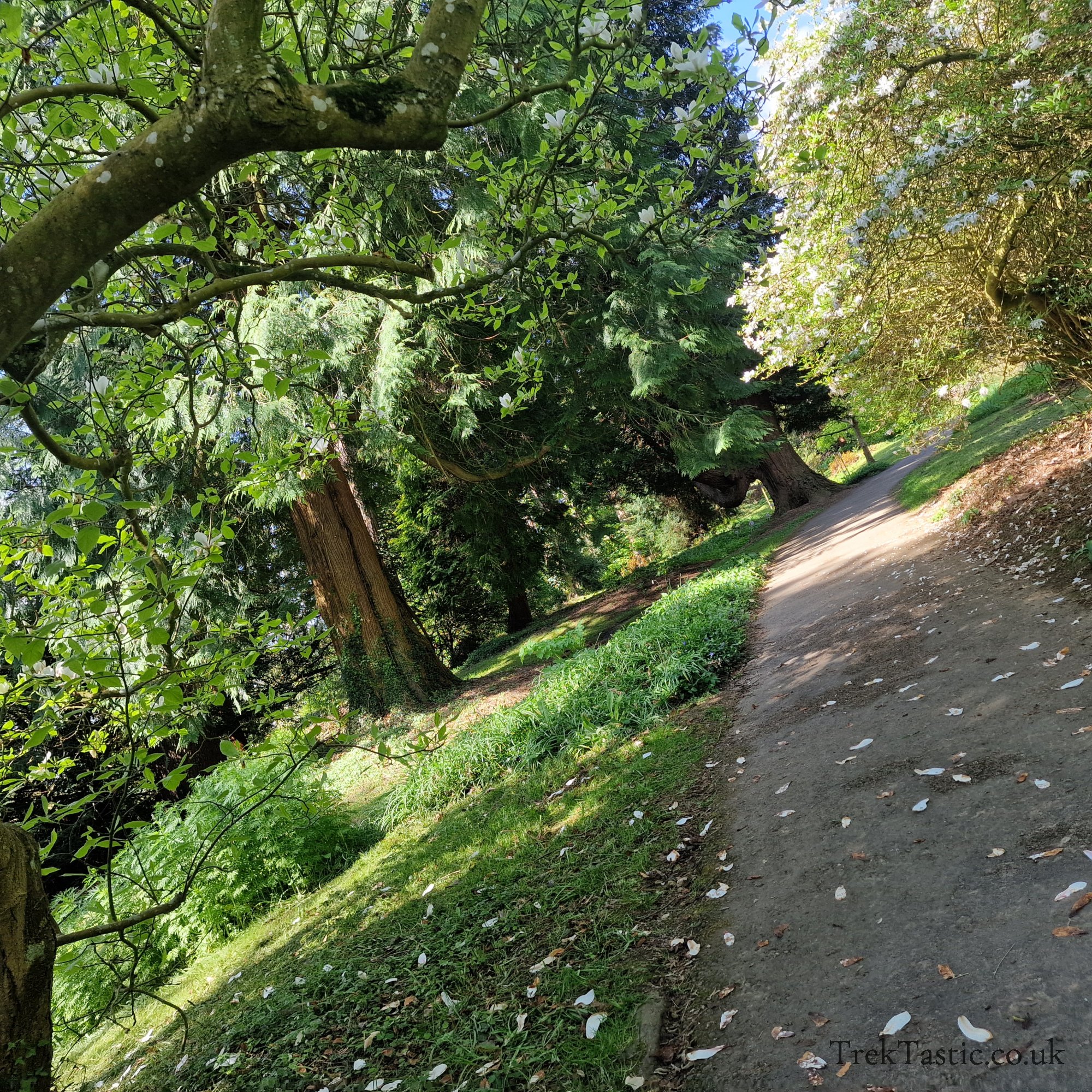 Batsford Arboretum gallery image 11