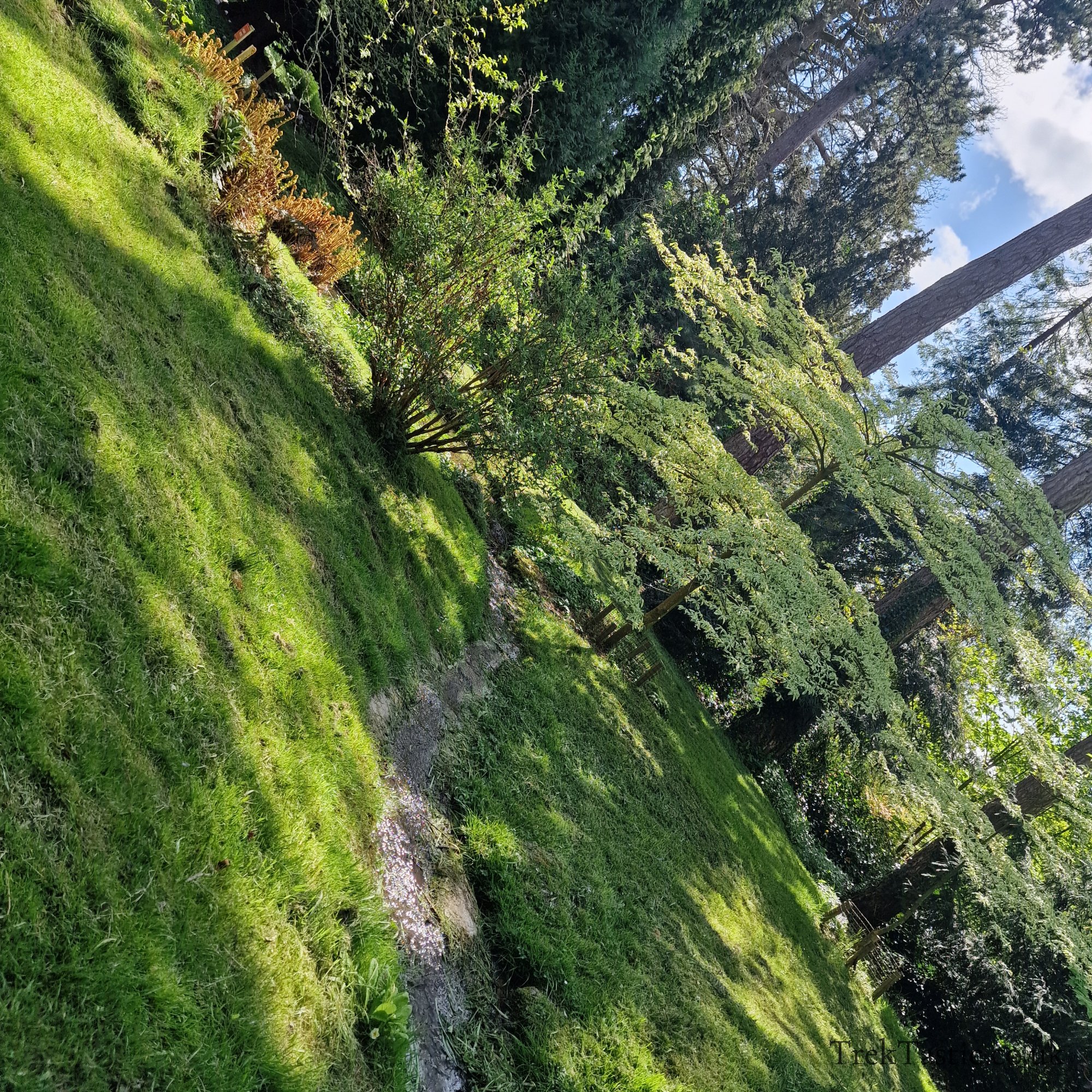 Batsford Arboretum gallery image 14