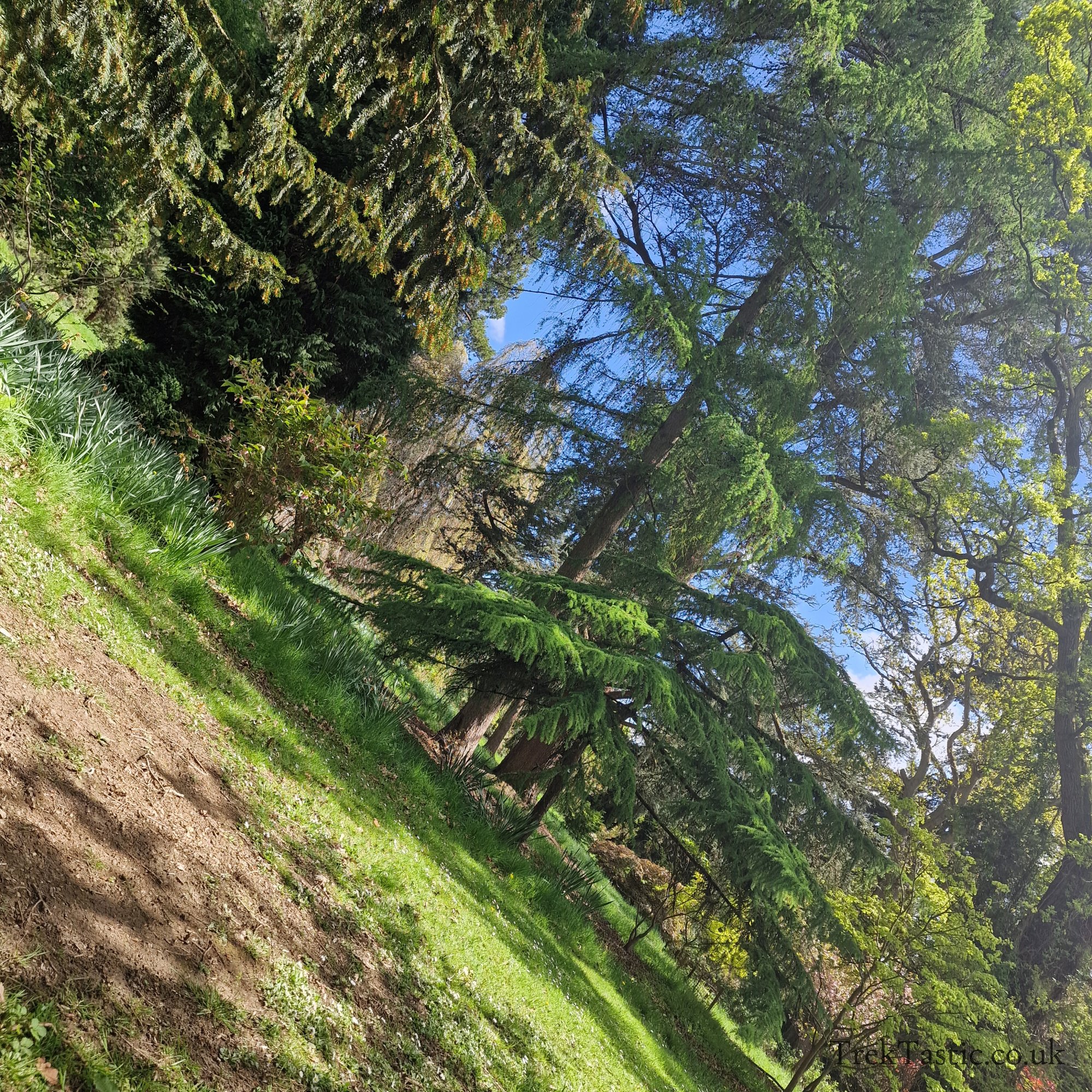 Batsford Arboretum gallery image 16