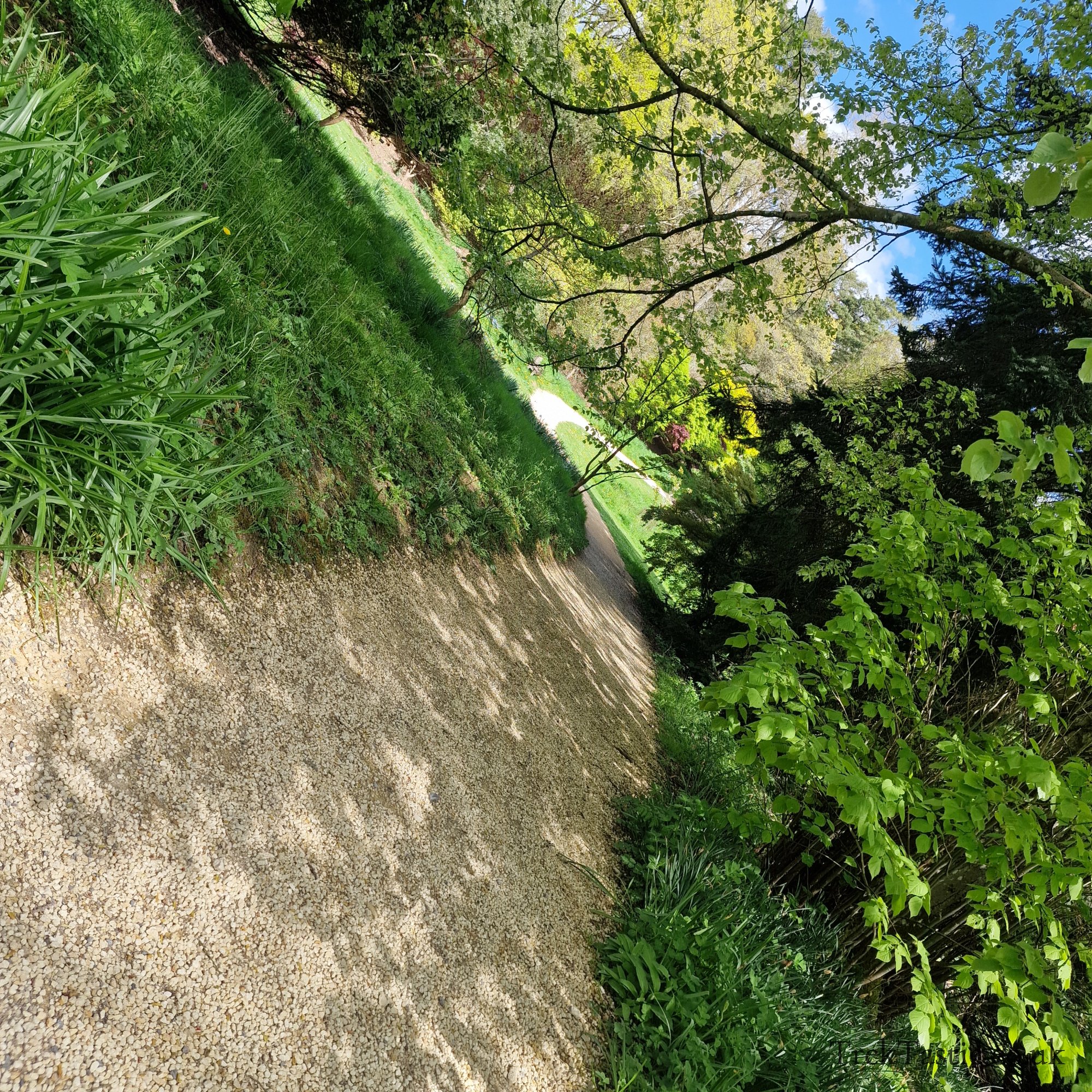 Batsford Arboretum gallery image 20